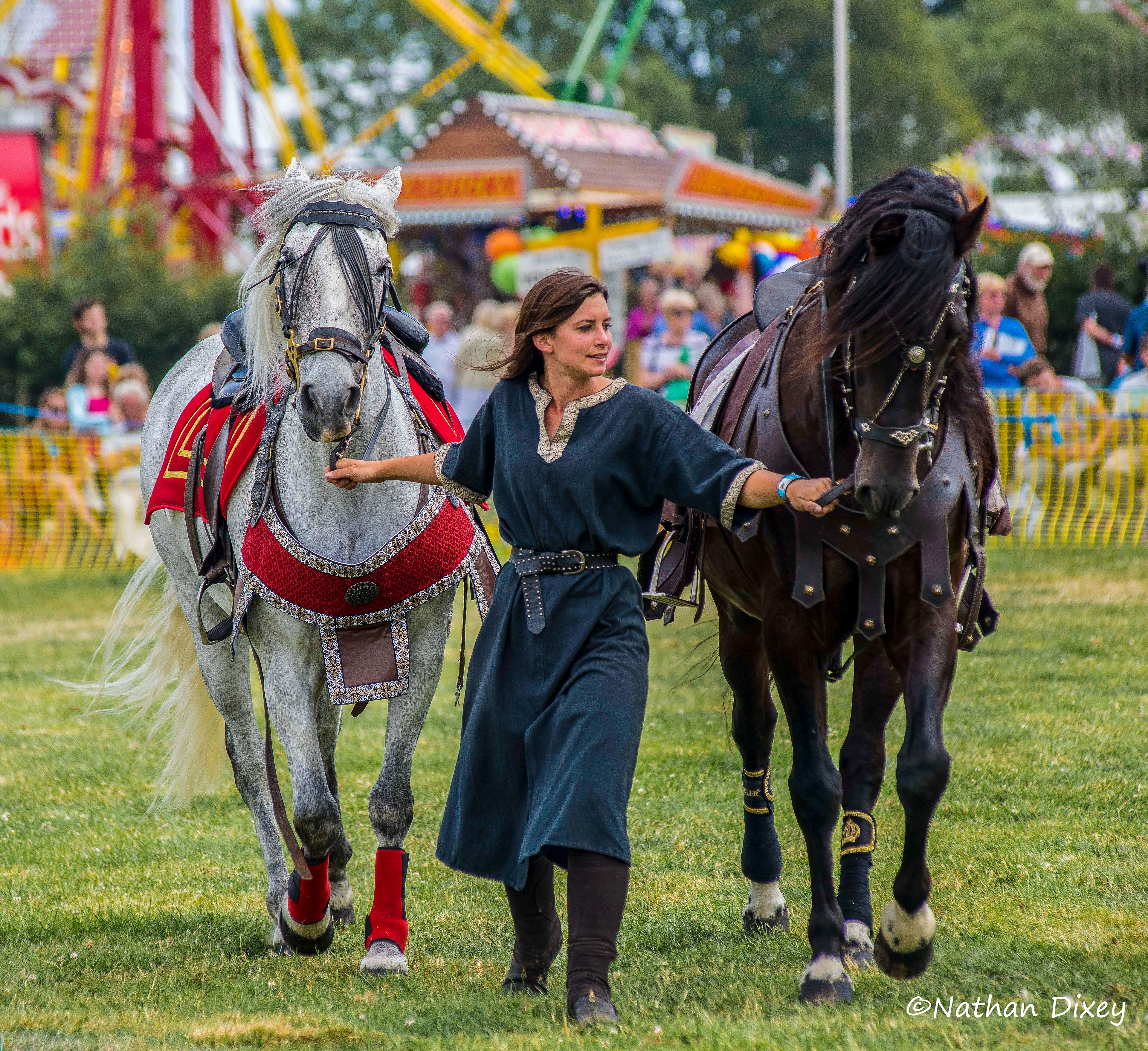 Bromyard Gala (2015)