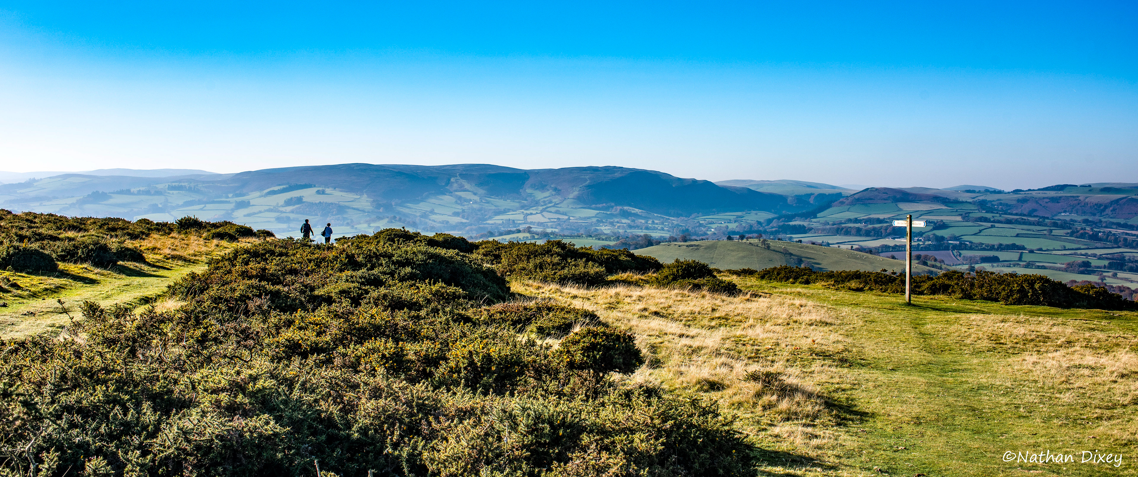 Hergest Ridge, Kington Herefordshire, England, UK (2020)