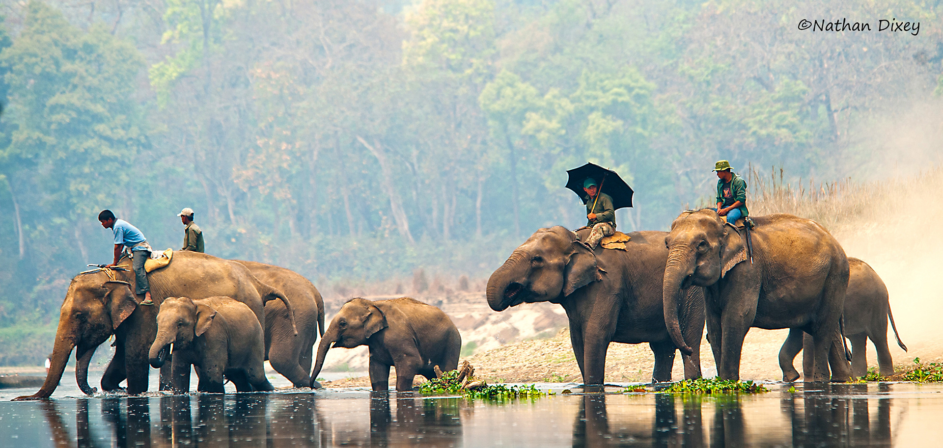 Chitwan National Park, Nepal (2012)