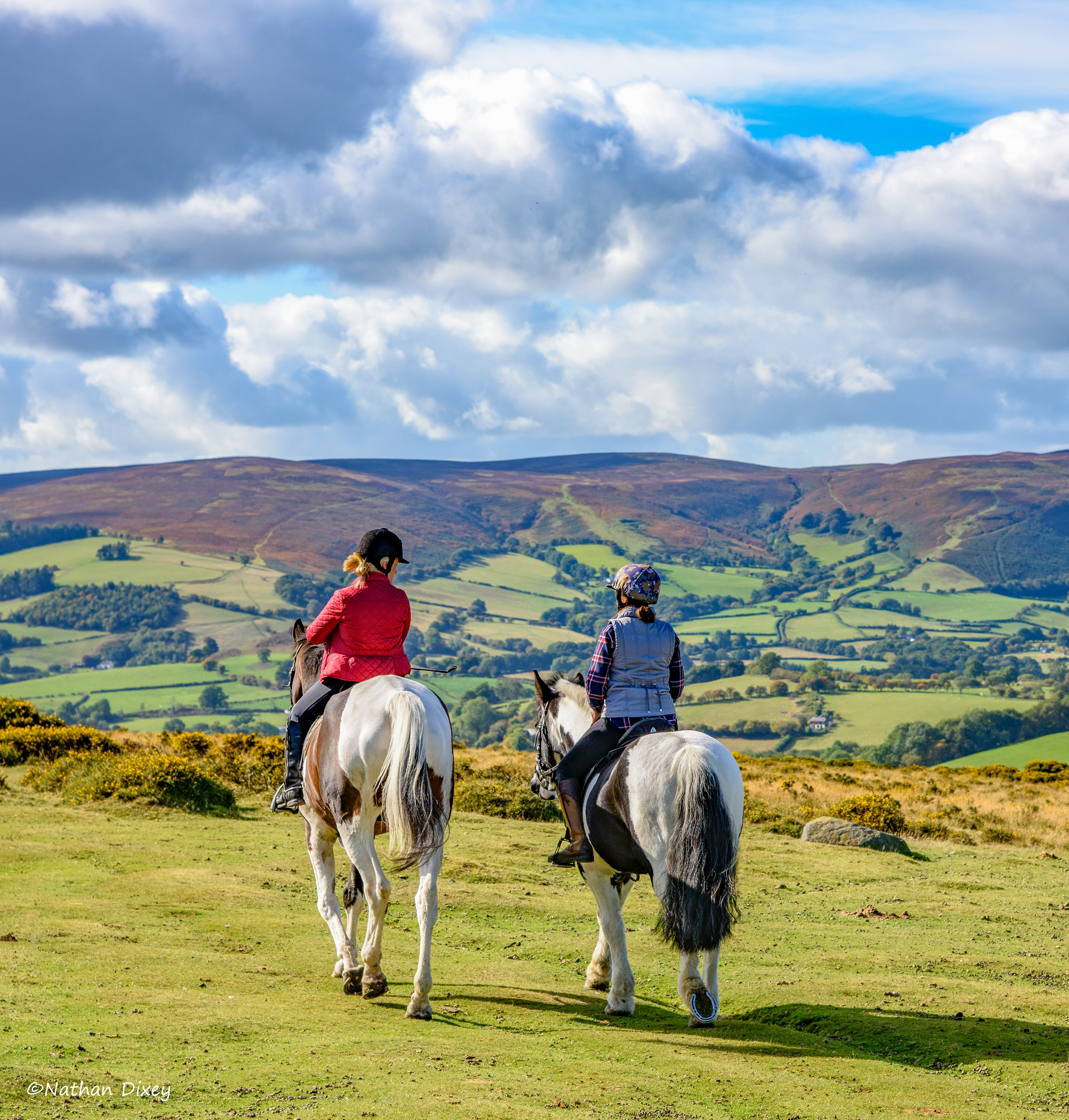 Hergest Ridge, Kington, Herefordshire, England UK (2022)