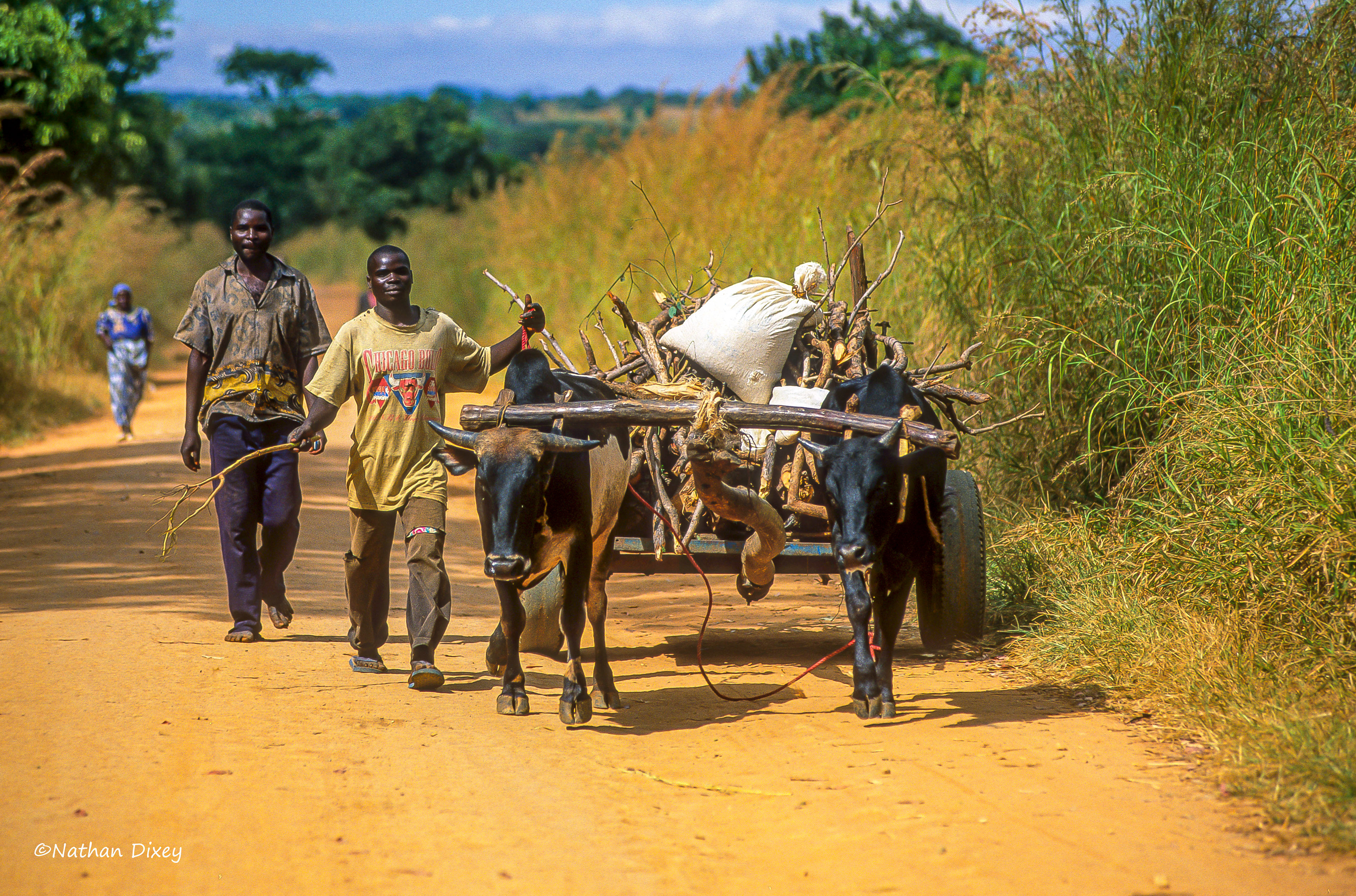 On the road near Majete WR, Malawi (2008)