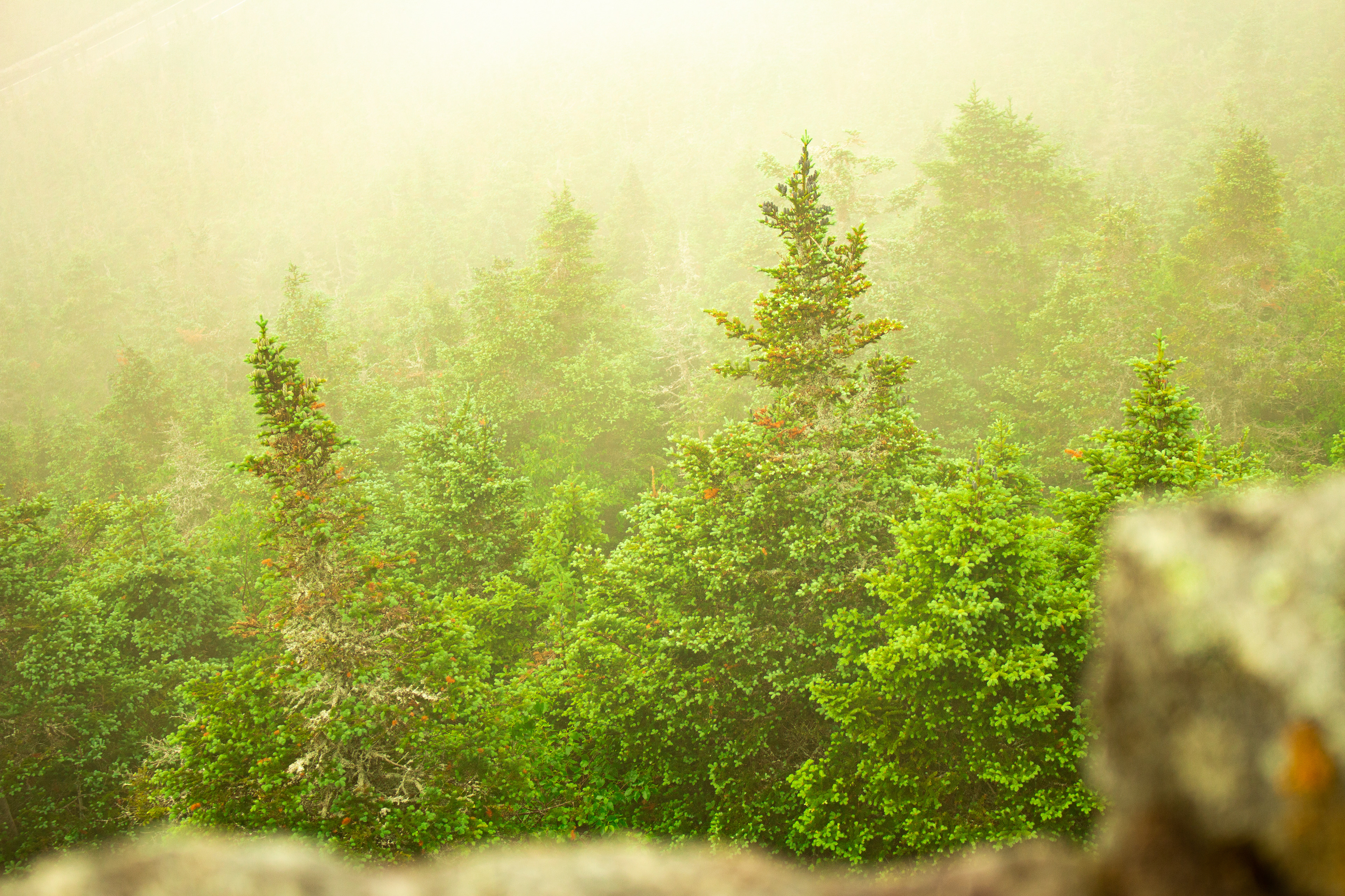 Whiteface Mountain, NY