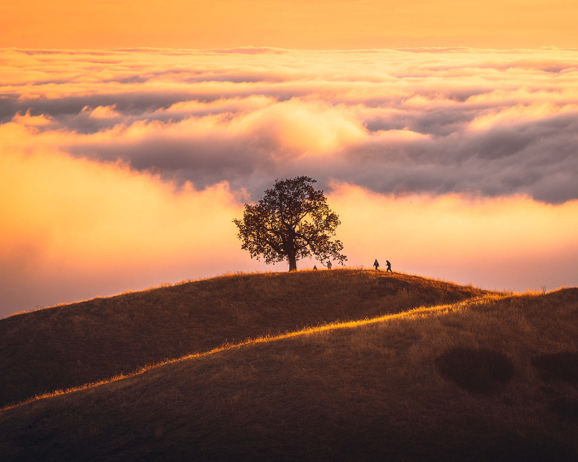 Big Sur, CA