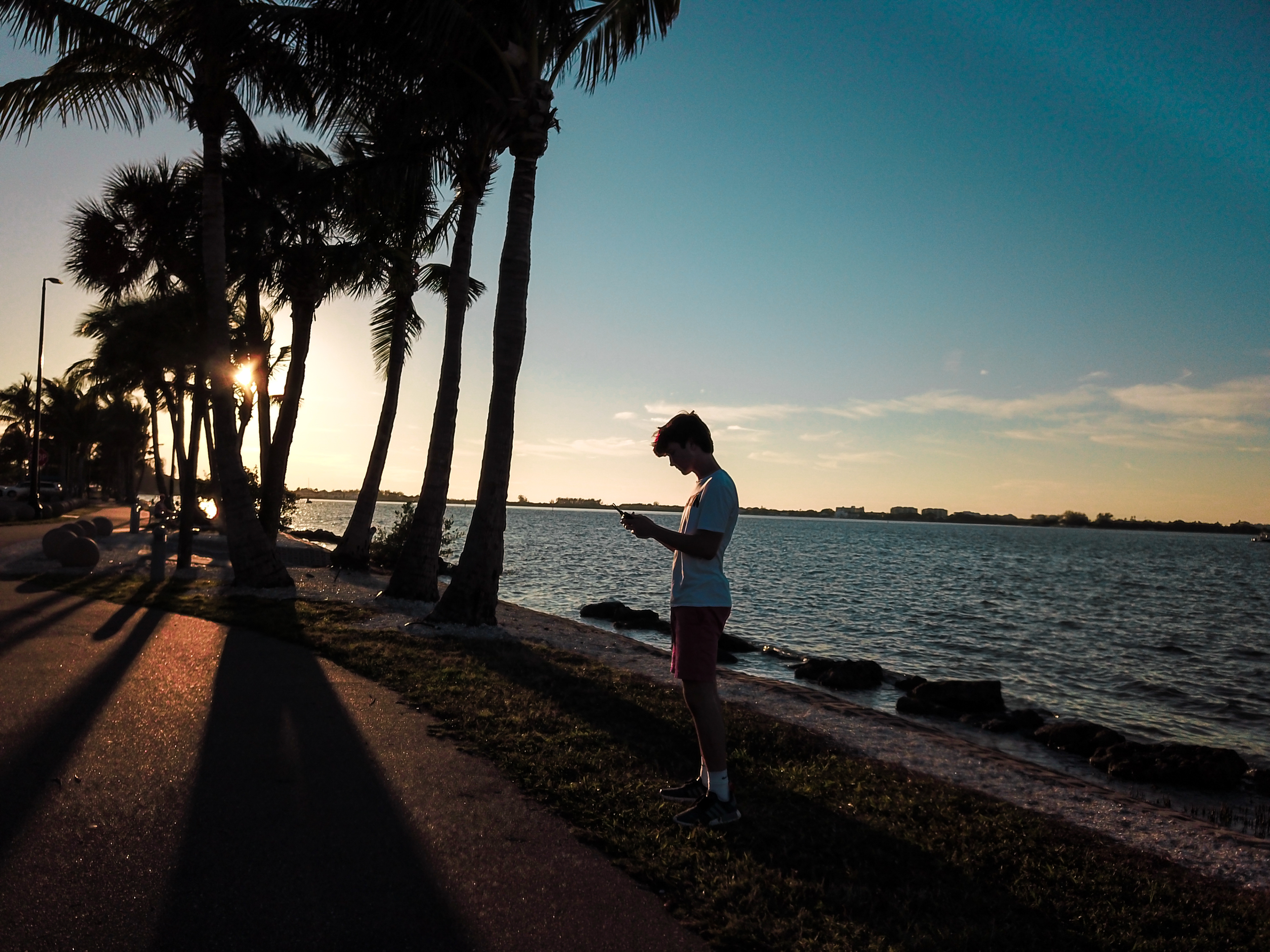Sarasota, FL