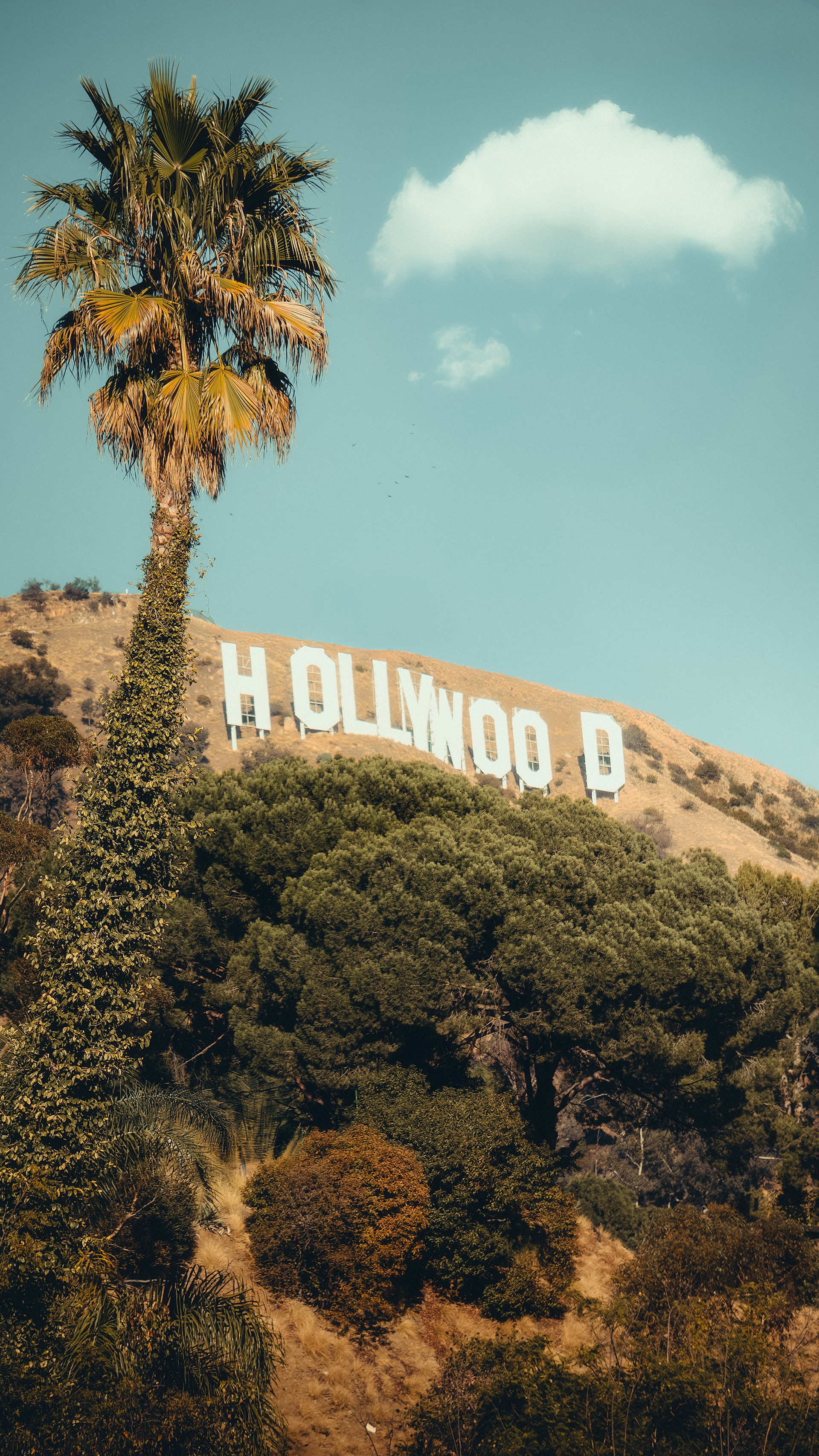 Los Angeles, CA