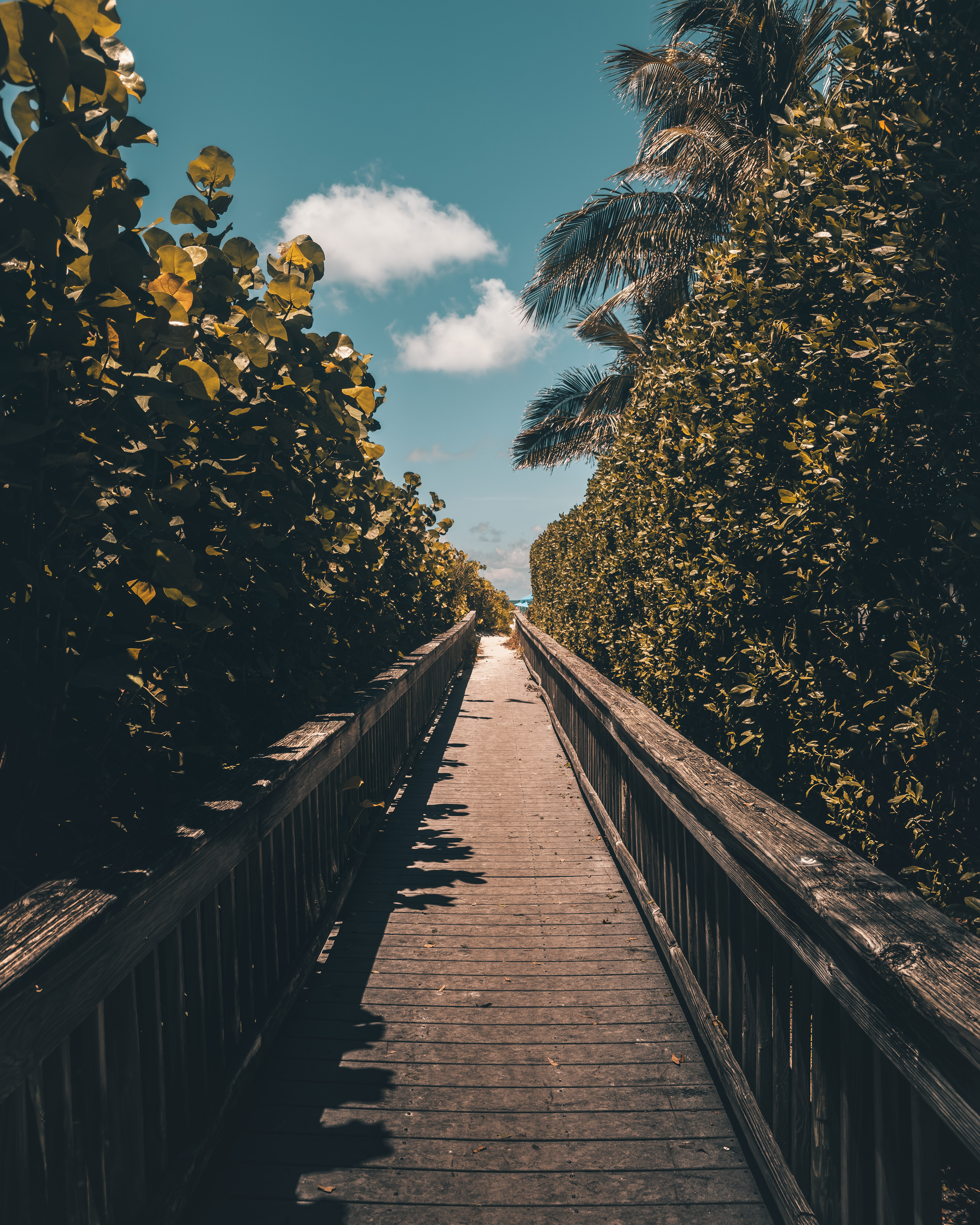 Lido Beach, FL
