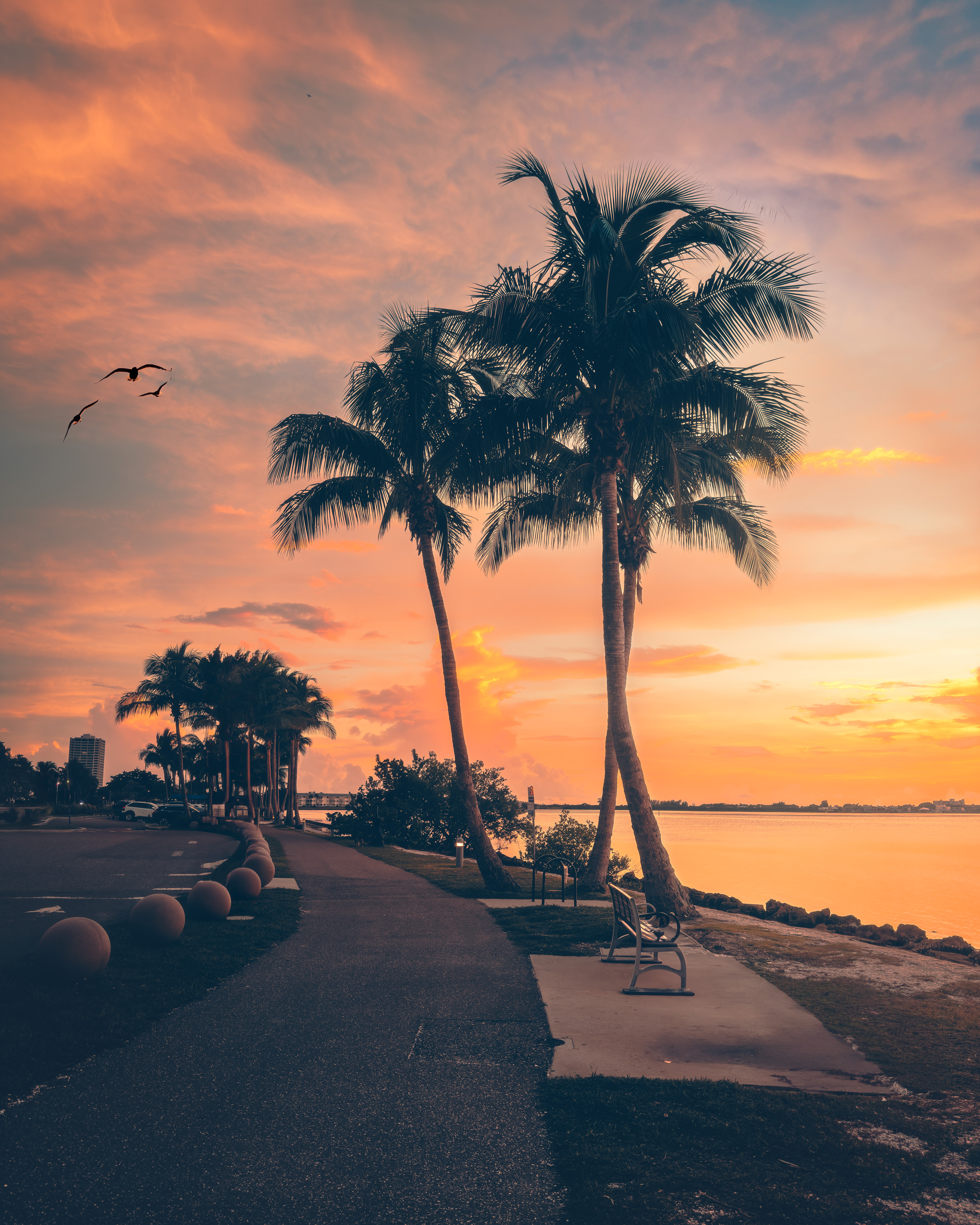 Sarasota, FL