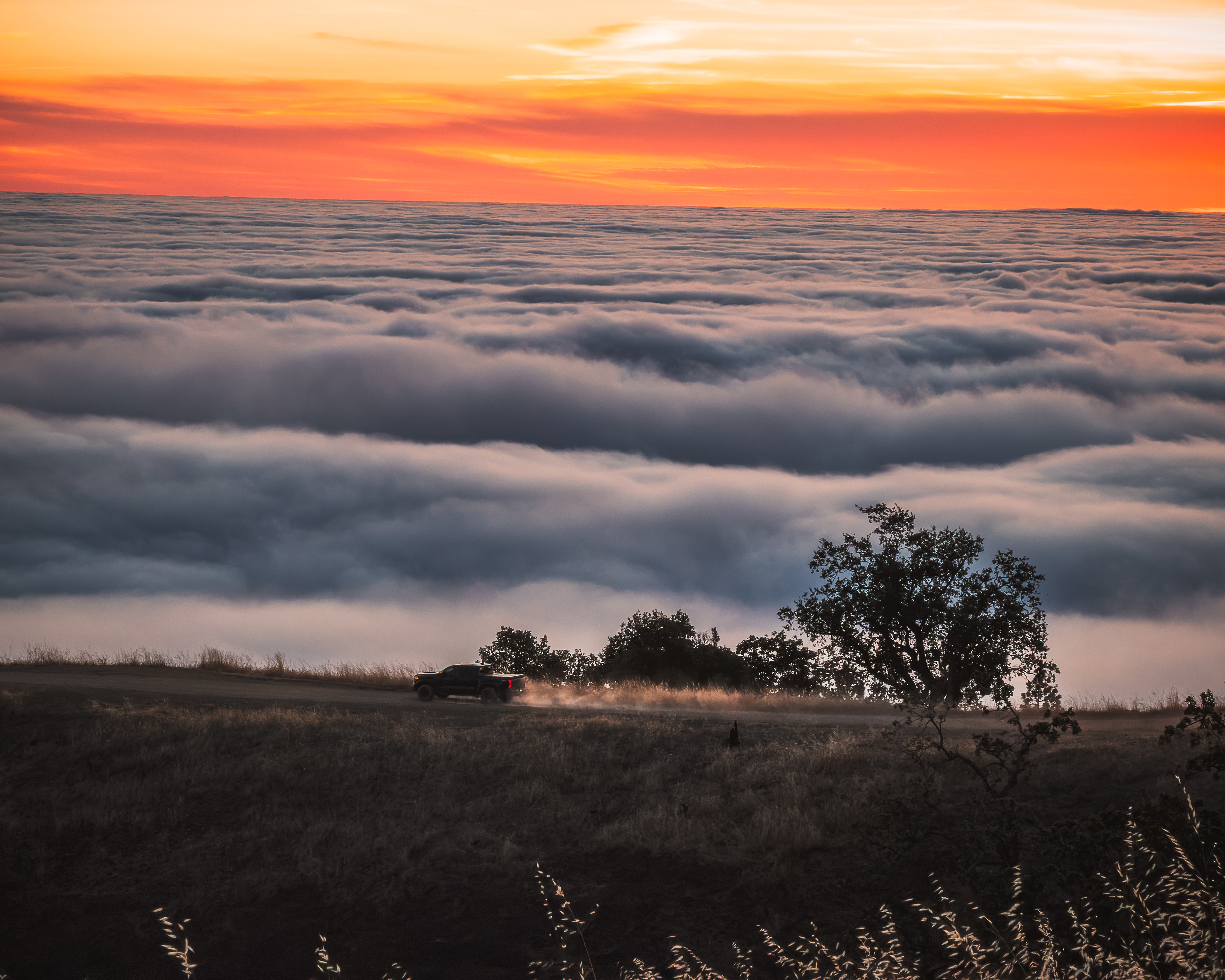 Big Sur, CA