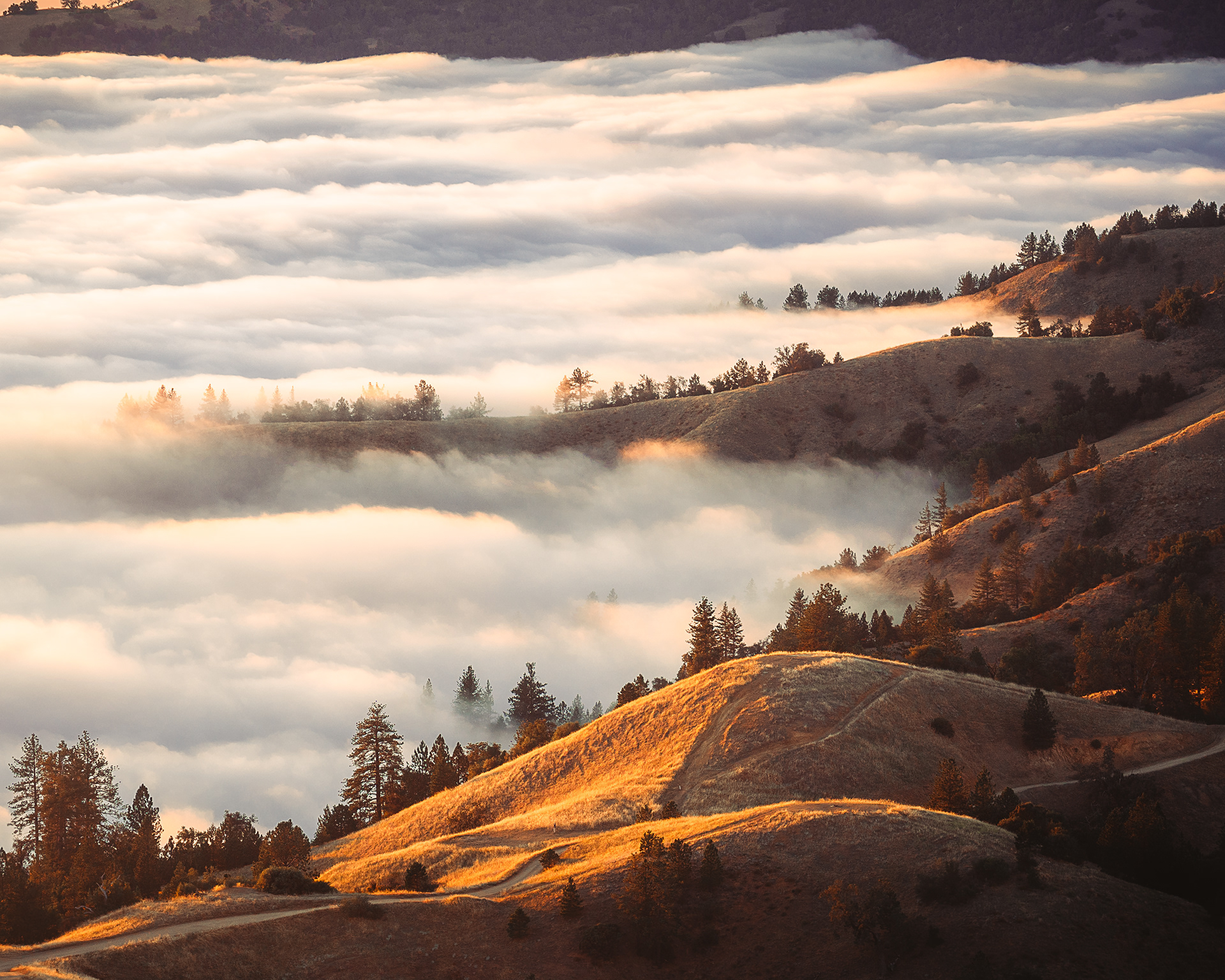 Big Sur, CA