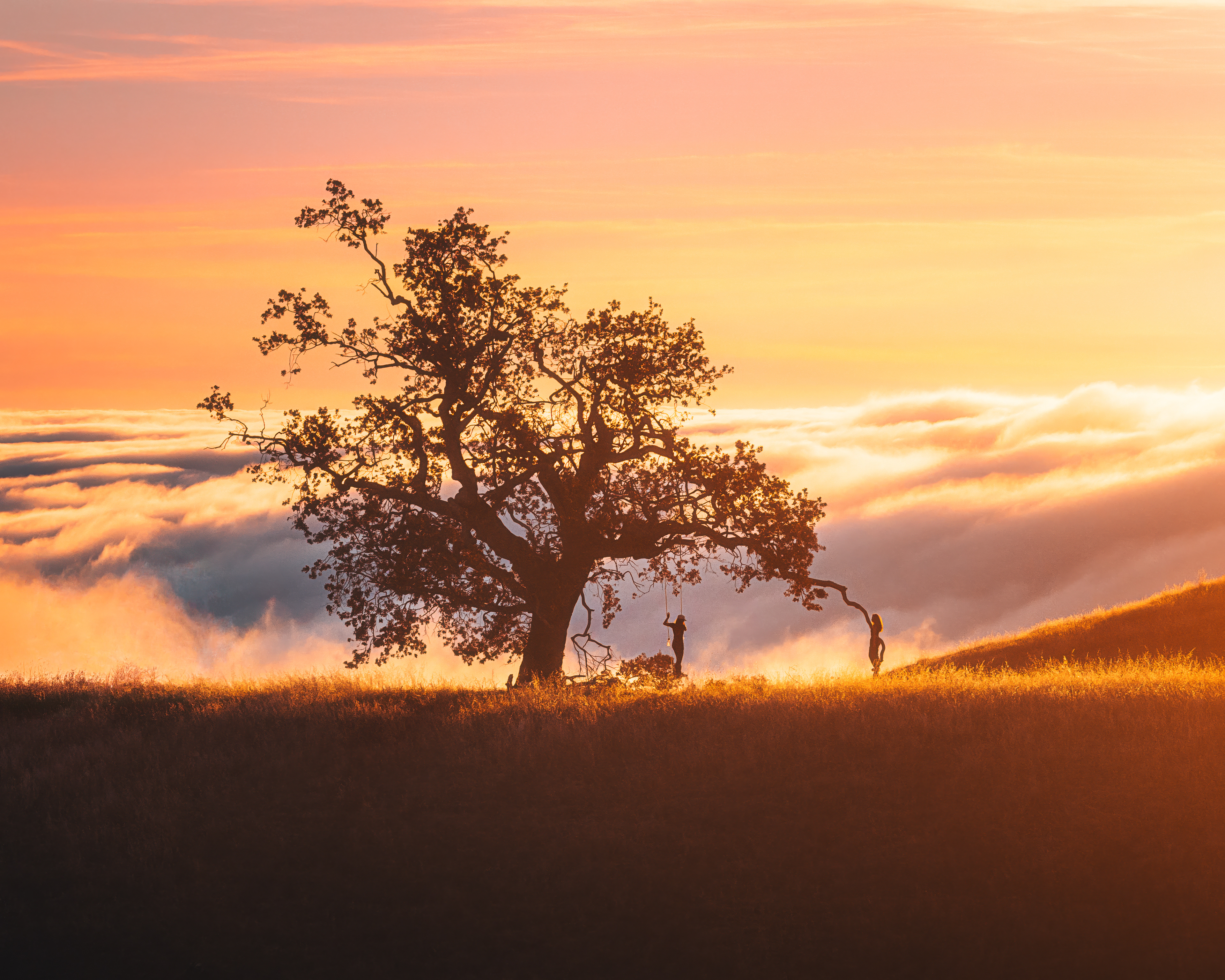 Big Sur, CA