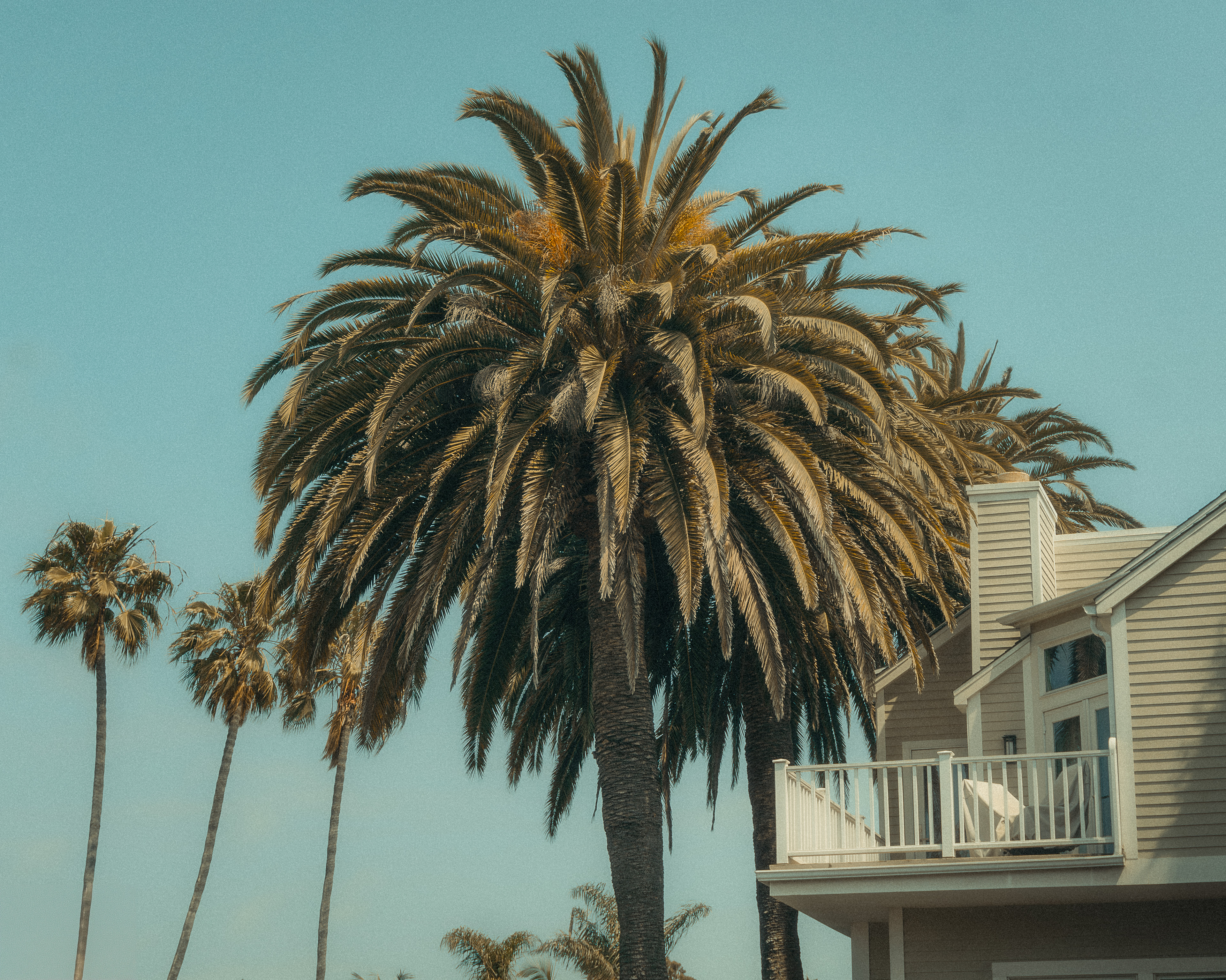 Venice Beach, CA
