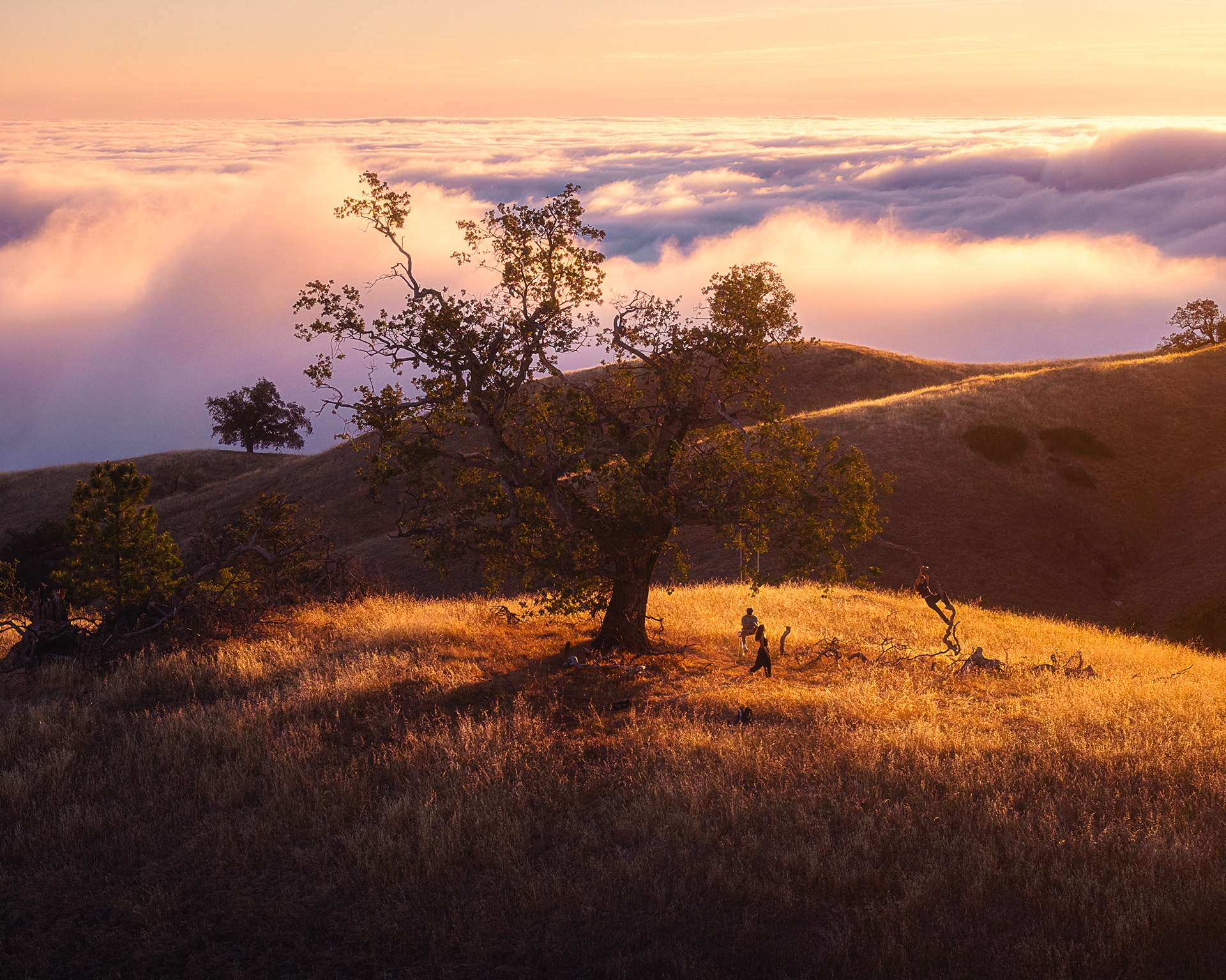 Big Sur, CA