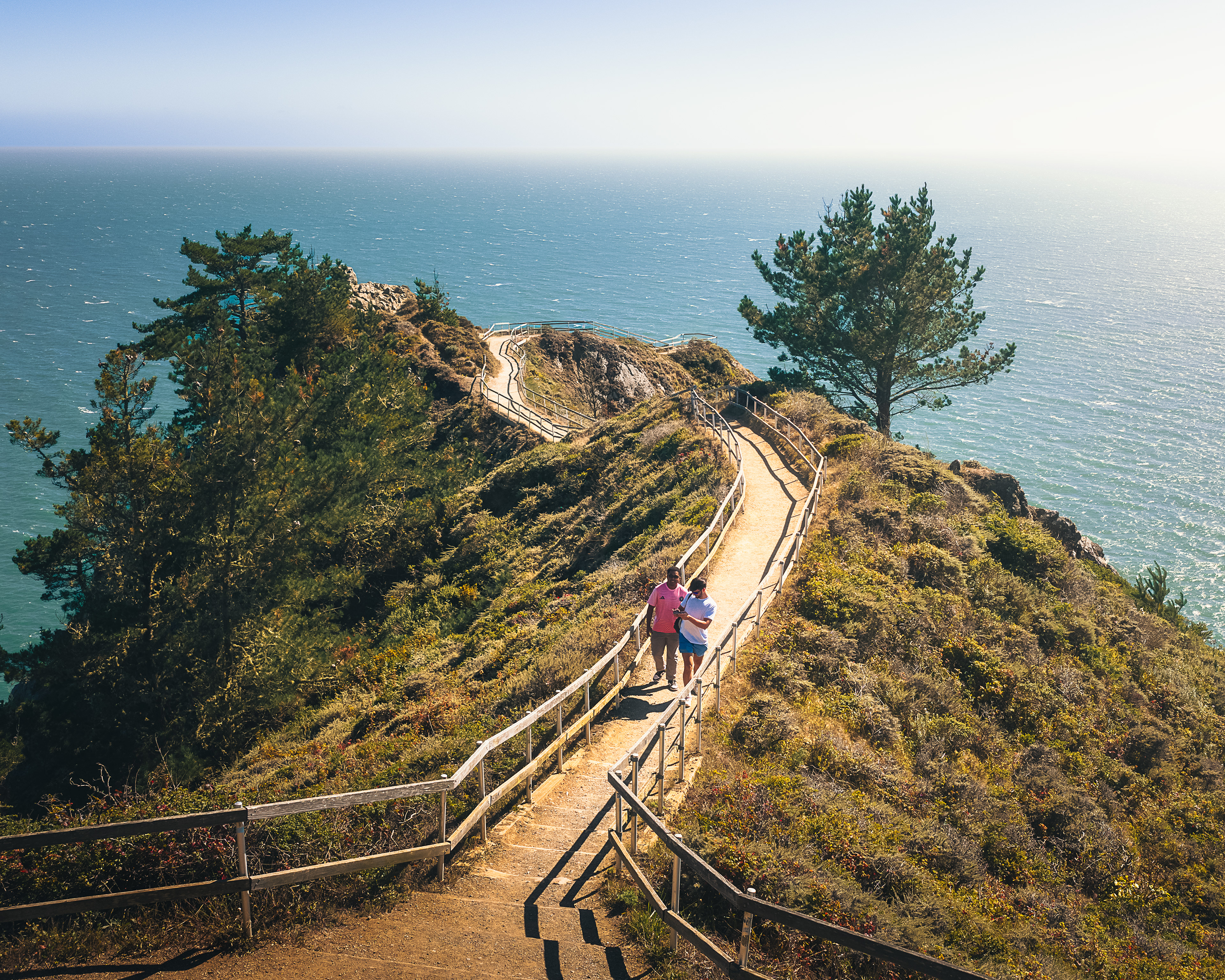 Muir Woods, CA
