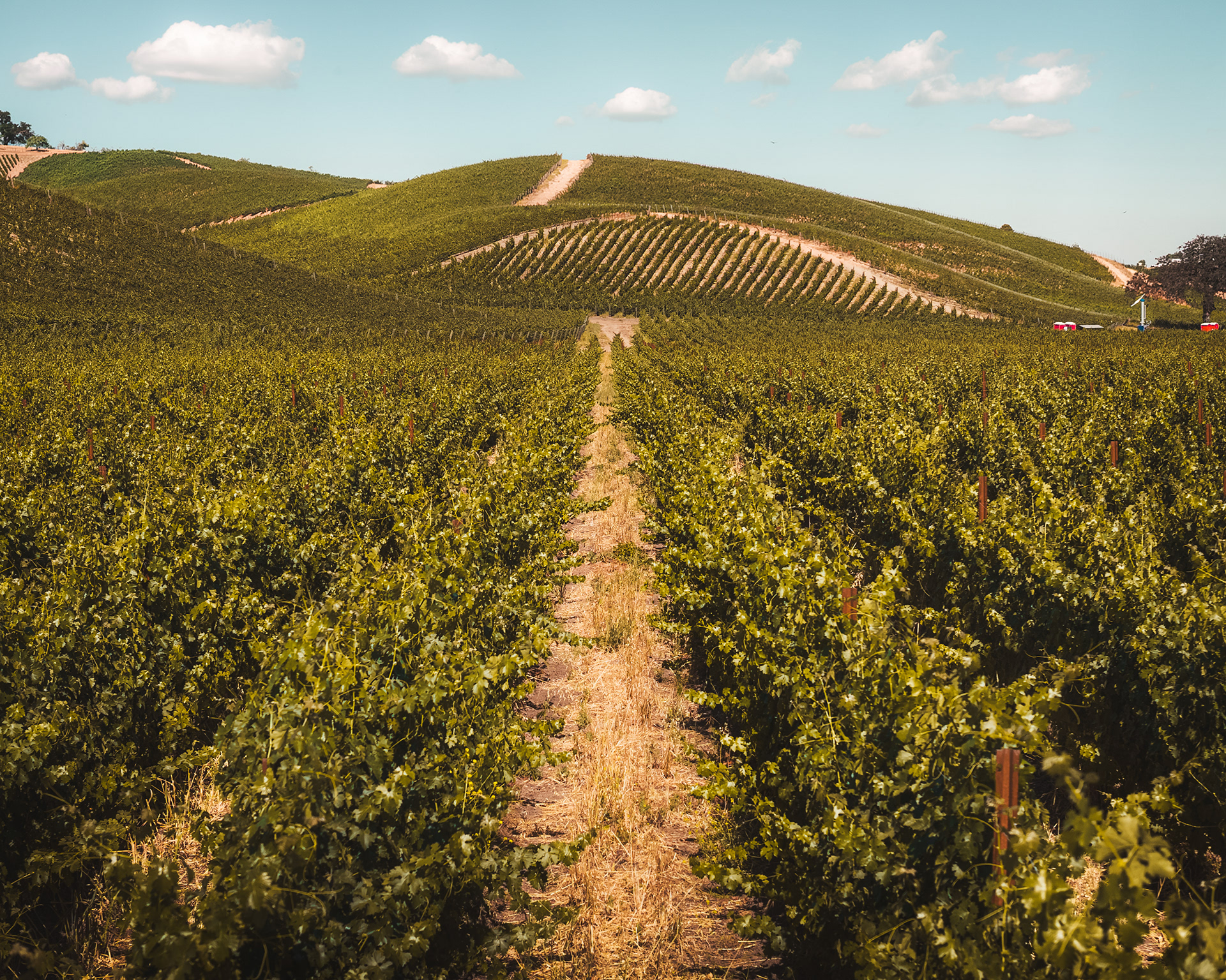 Paso Robles, CA