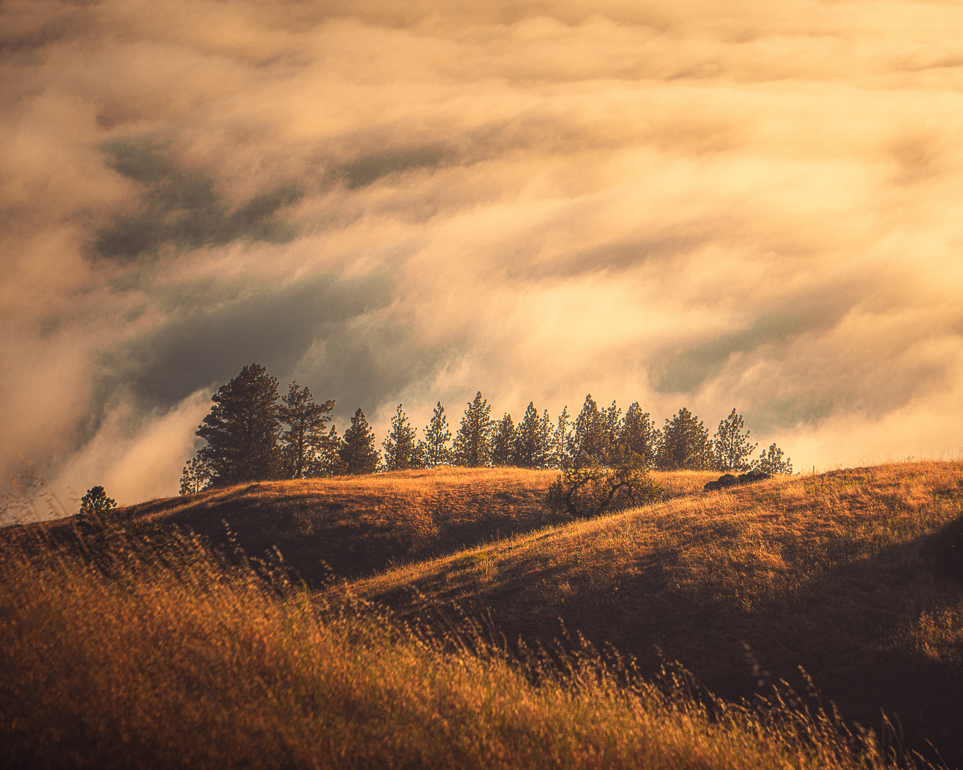 Big Sur, CA
