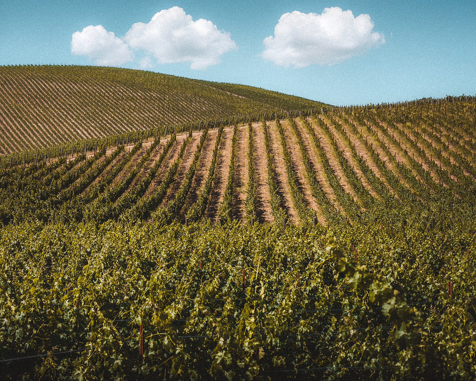 Paso Robles, CA