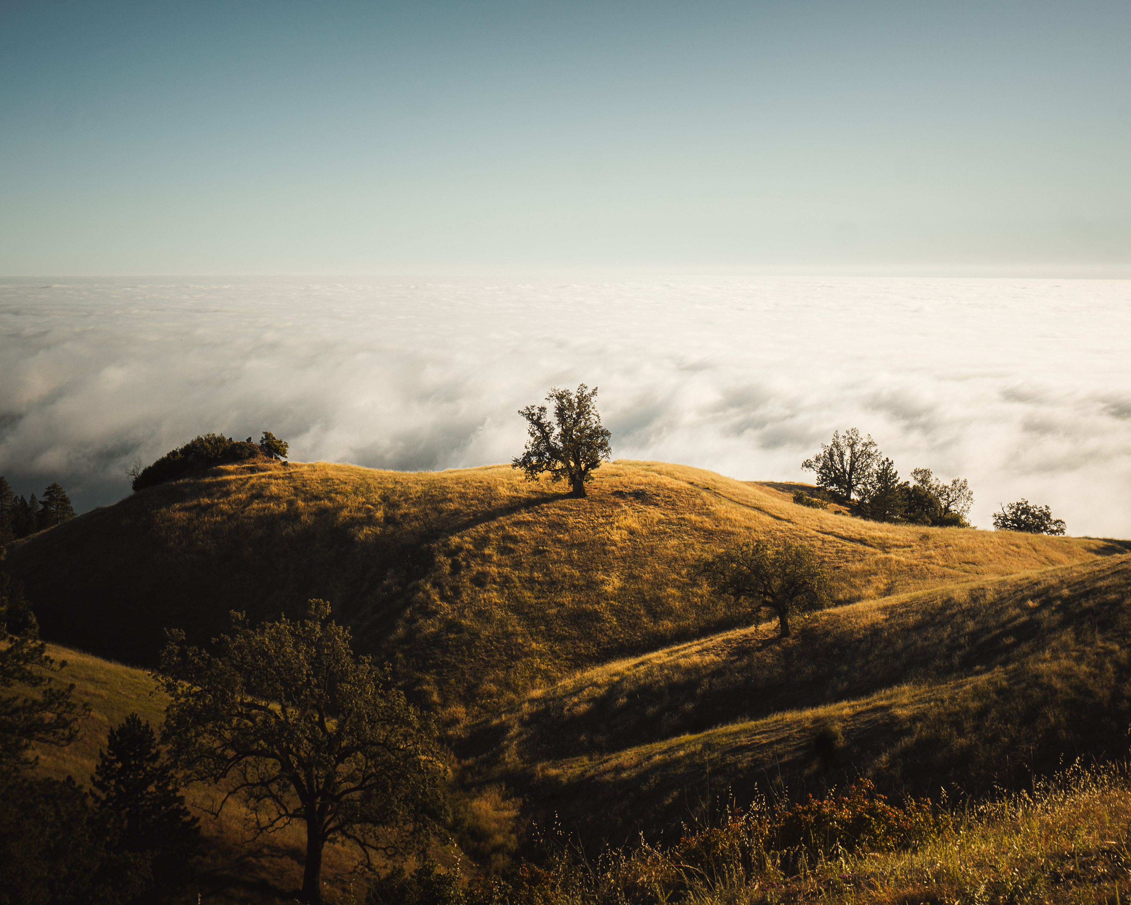Big Sur, CA