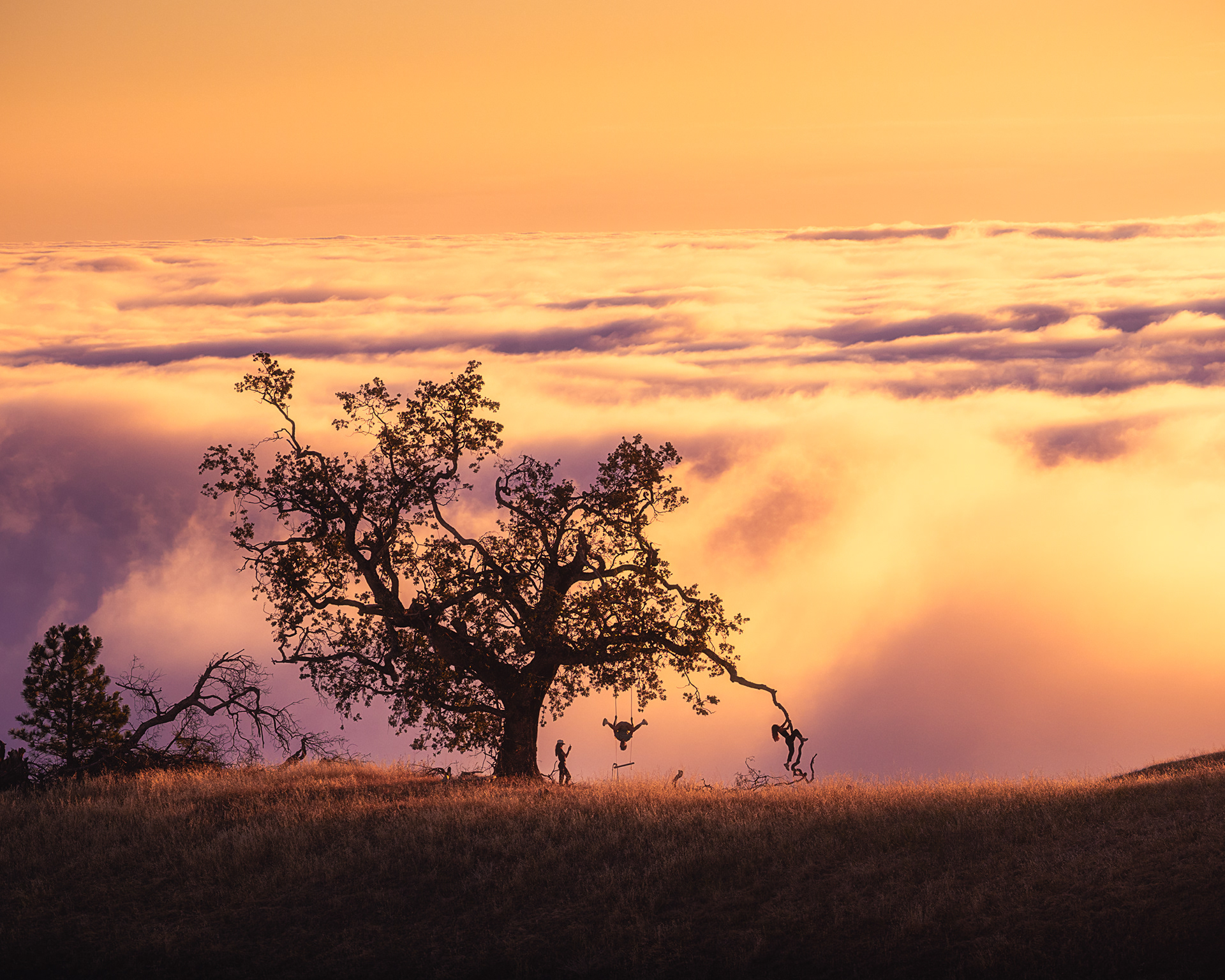 Big Sur, CA