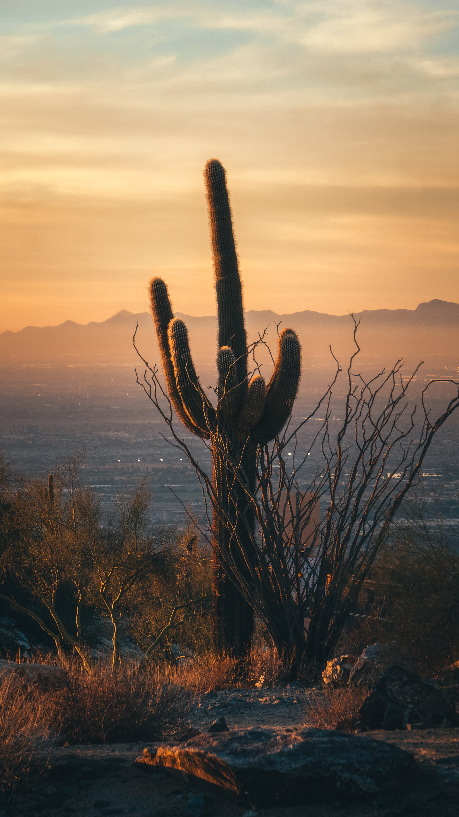 Phoenix, AZ