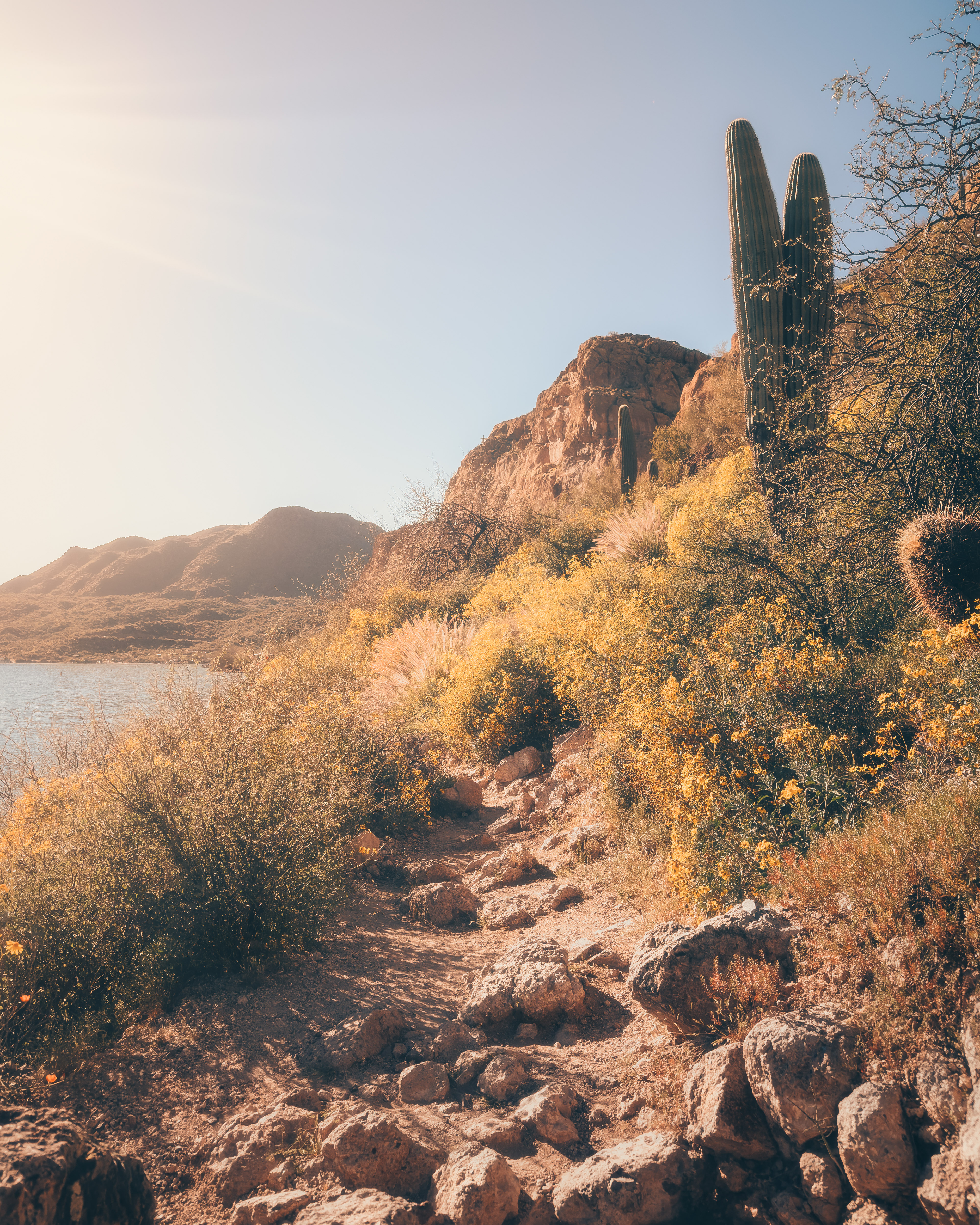 Mesa, AZ