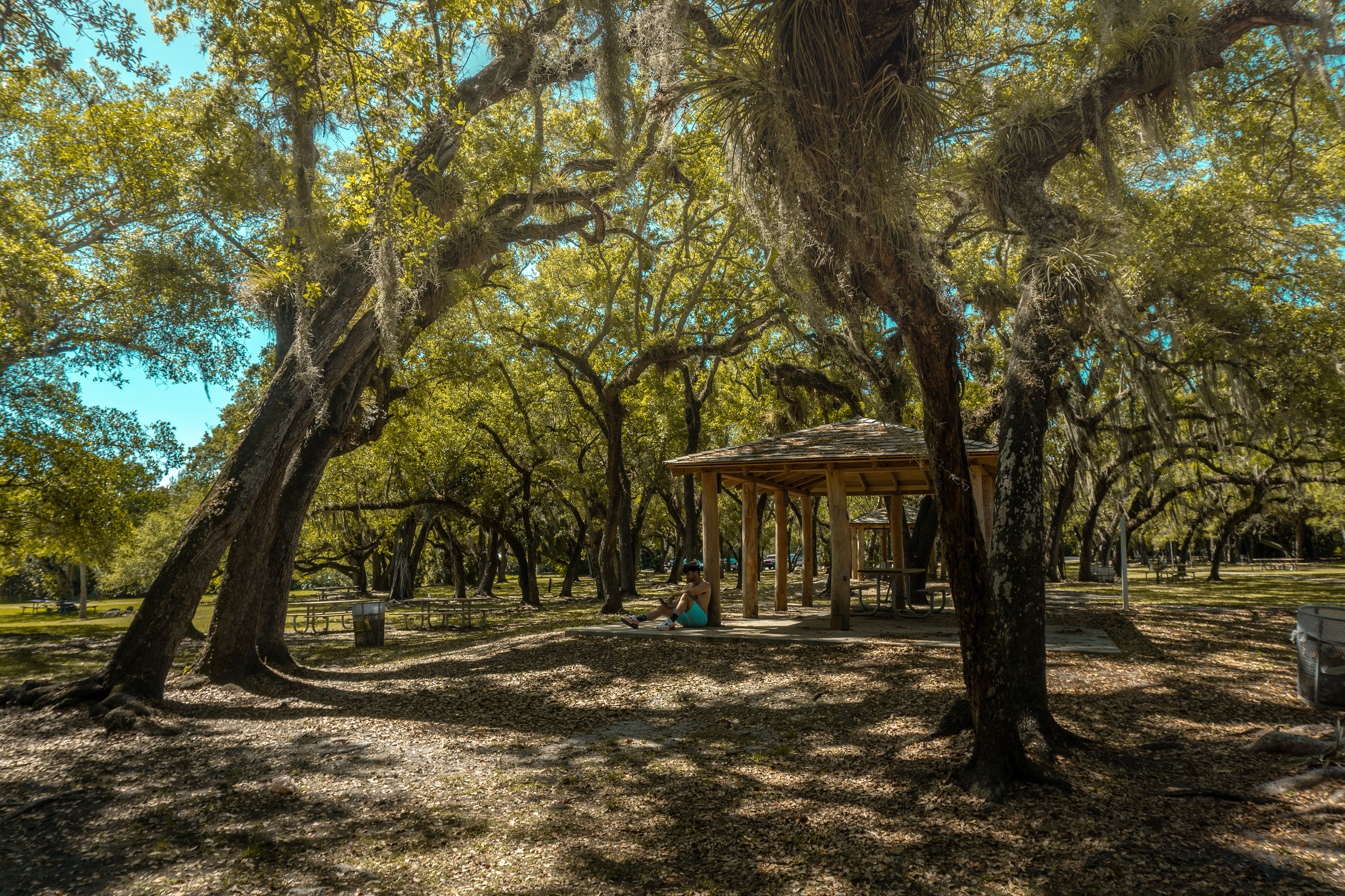 Coral Gables, FL