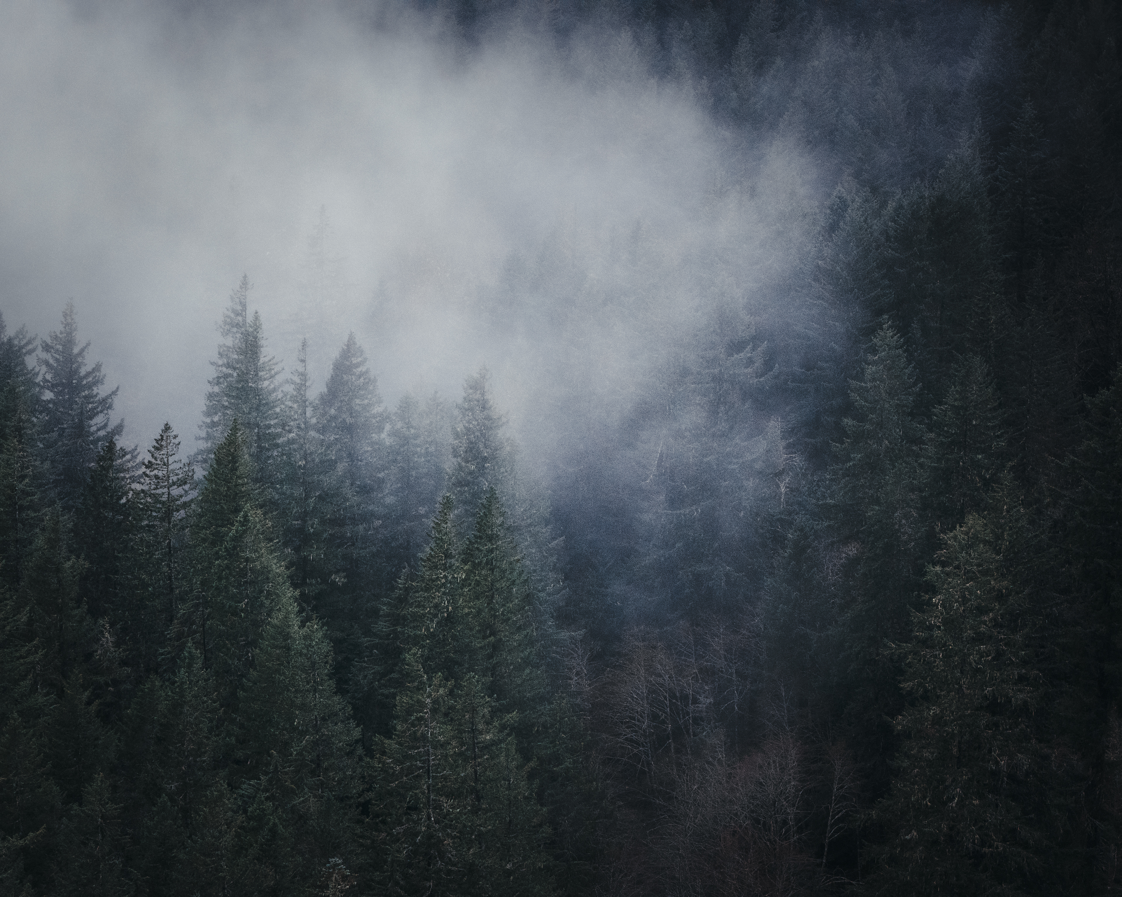Vancouver, WA