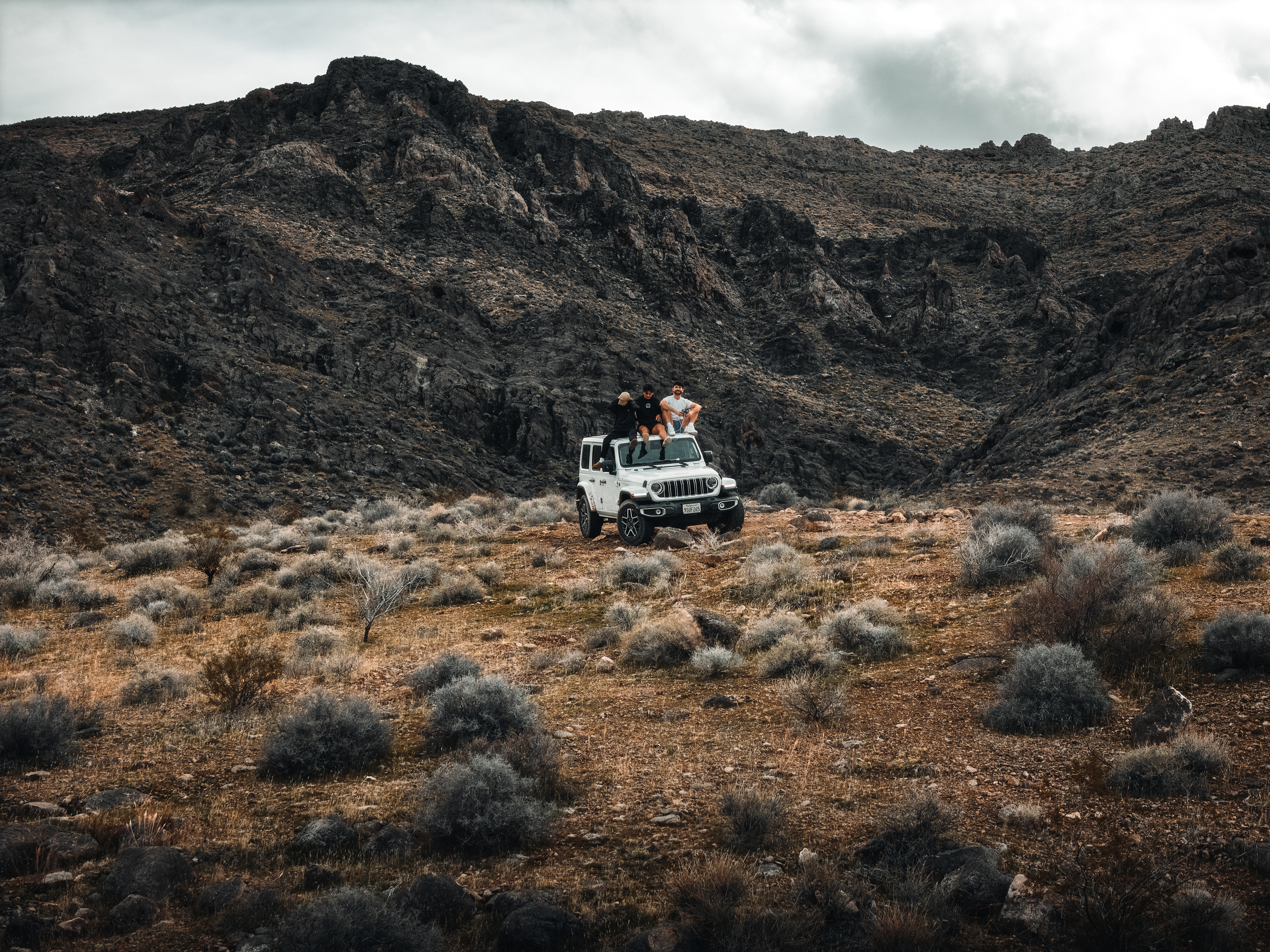 Logandale, NV