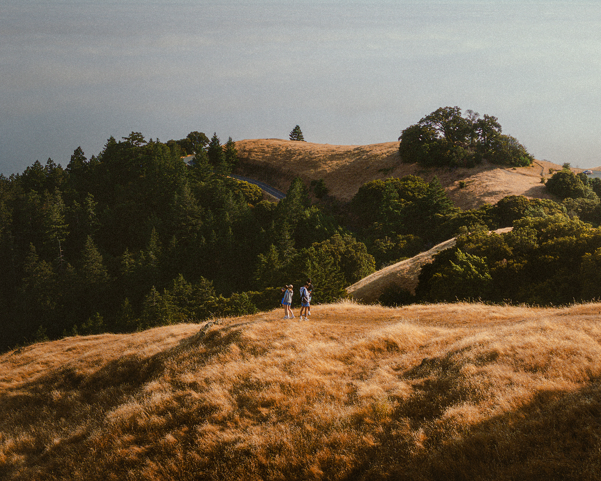 Mt. Tamalpais, CA