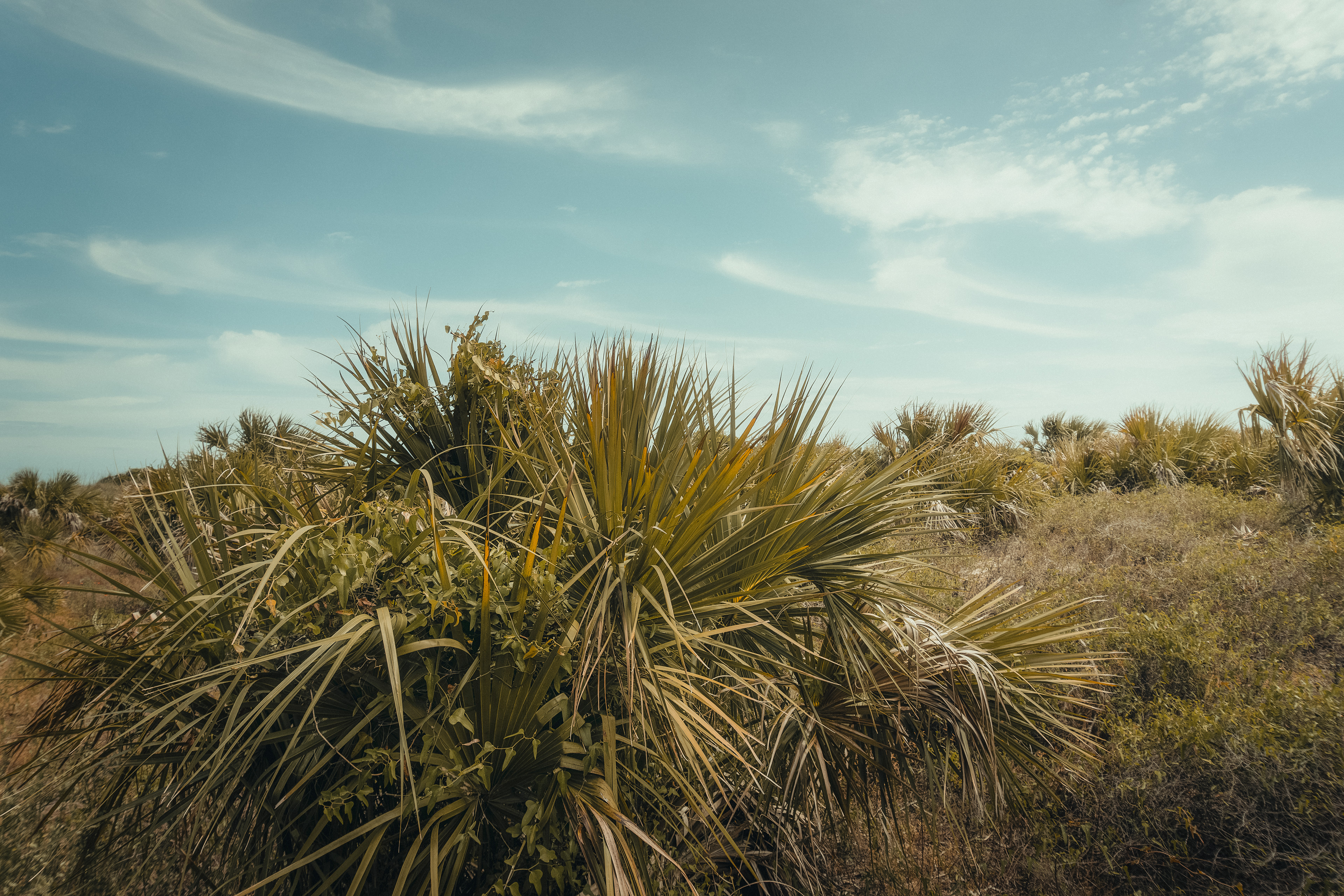 Tybee Island, GA