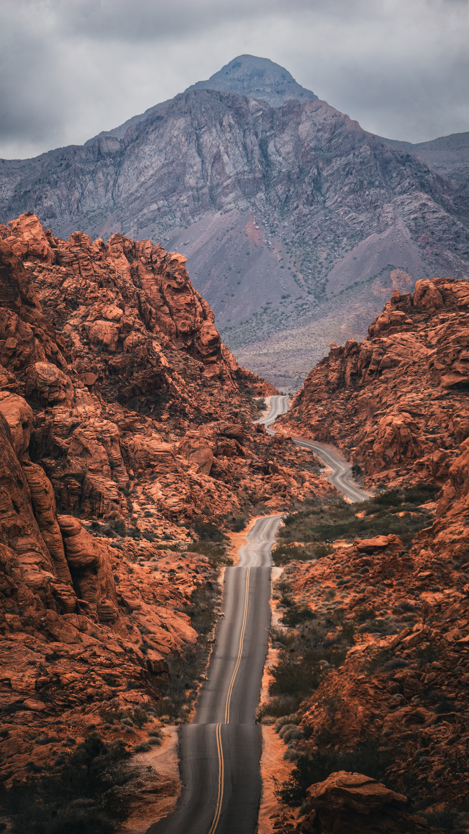 Moapa Valley, NV