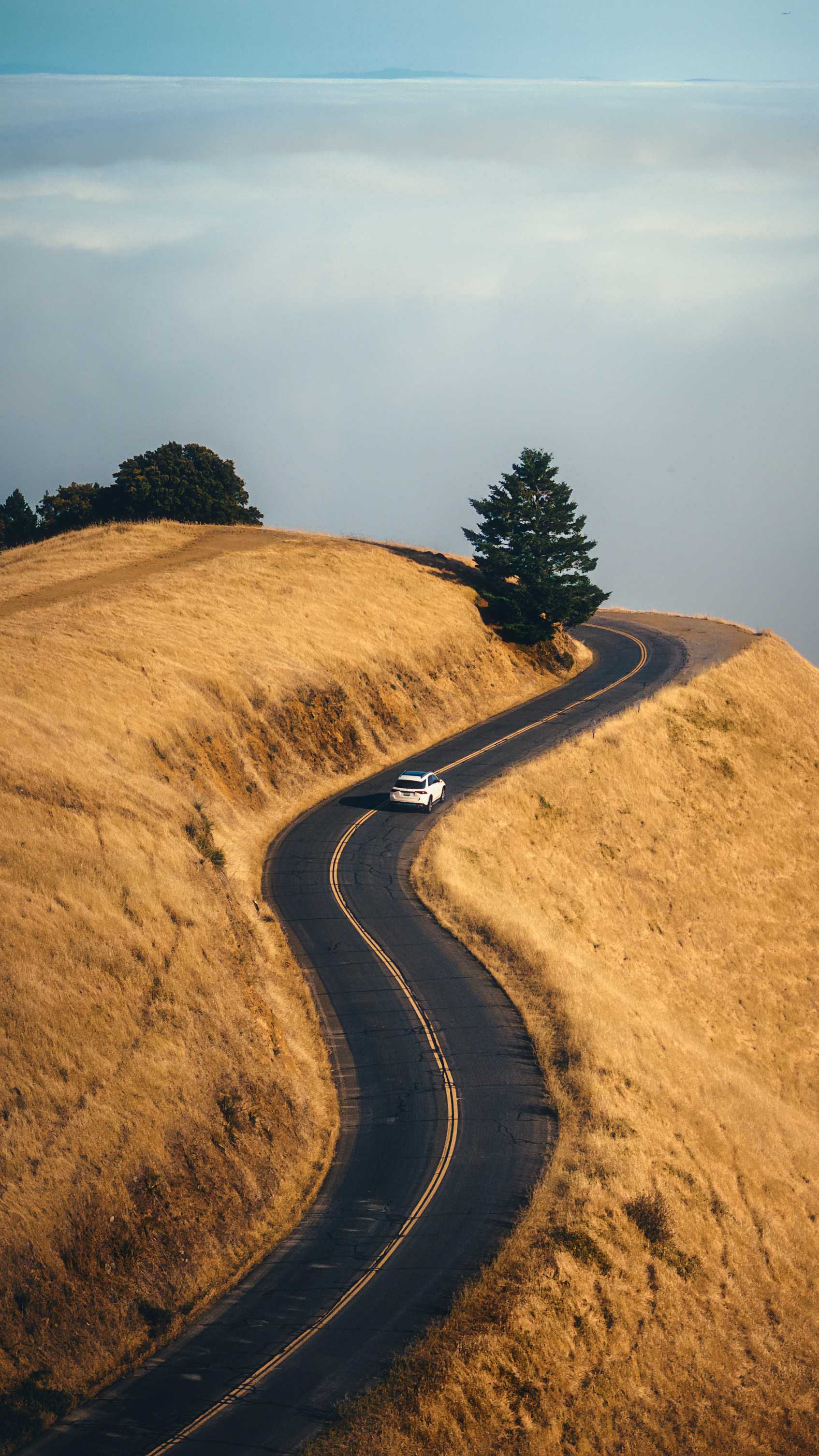 Mt. Tamalpais, CA