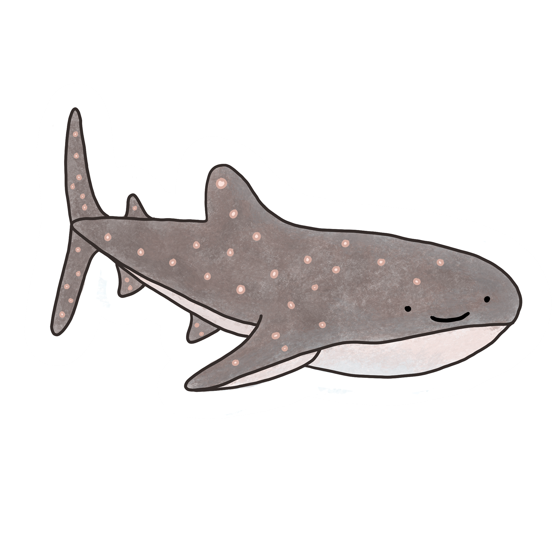 Whale Shark