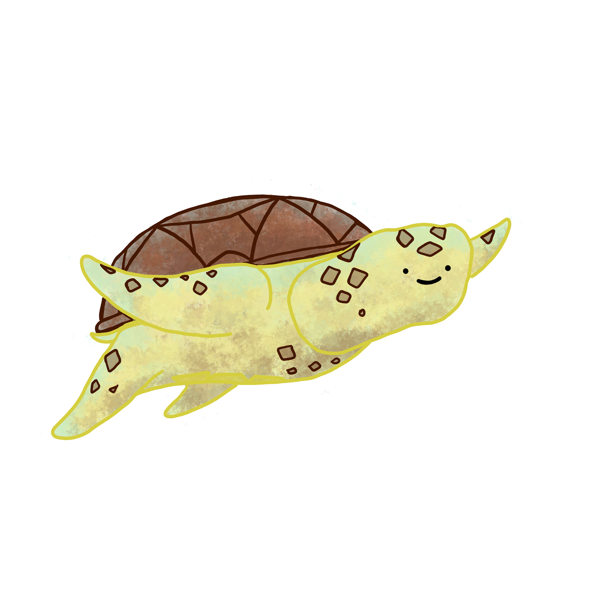 Sea Turtle