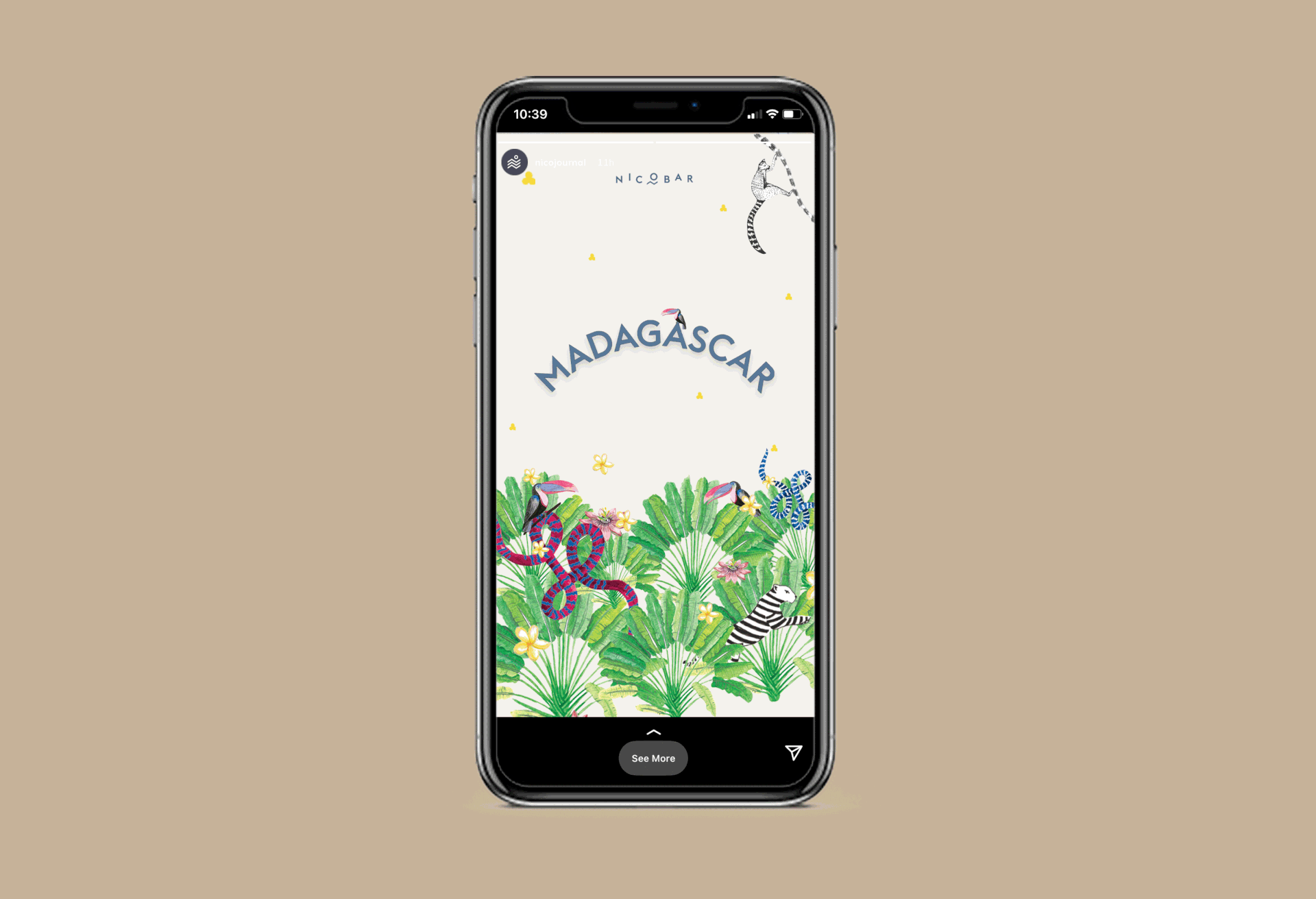 Madagascar Social Media Story