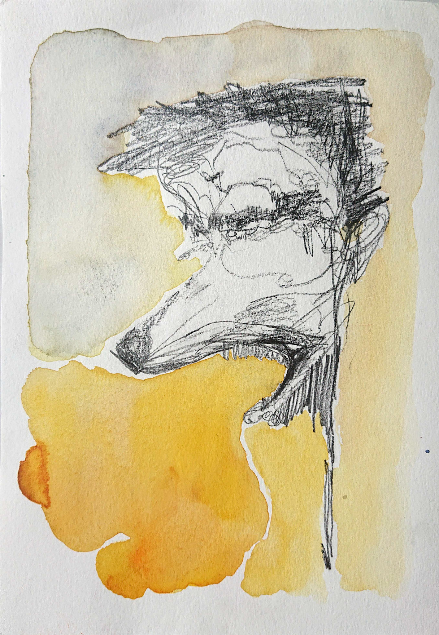 Pencil and akvarel, 2014