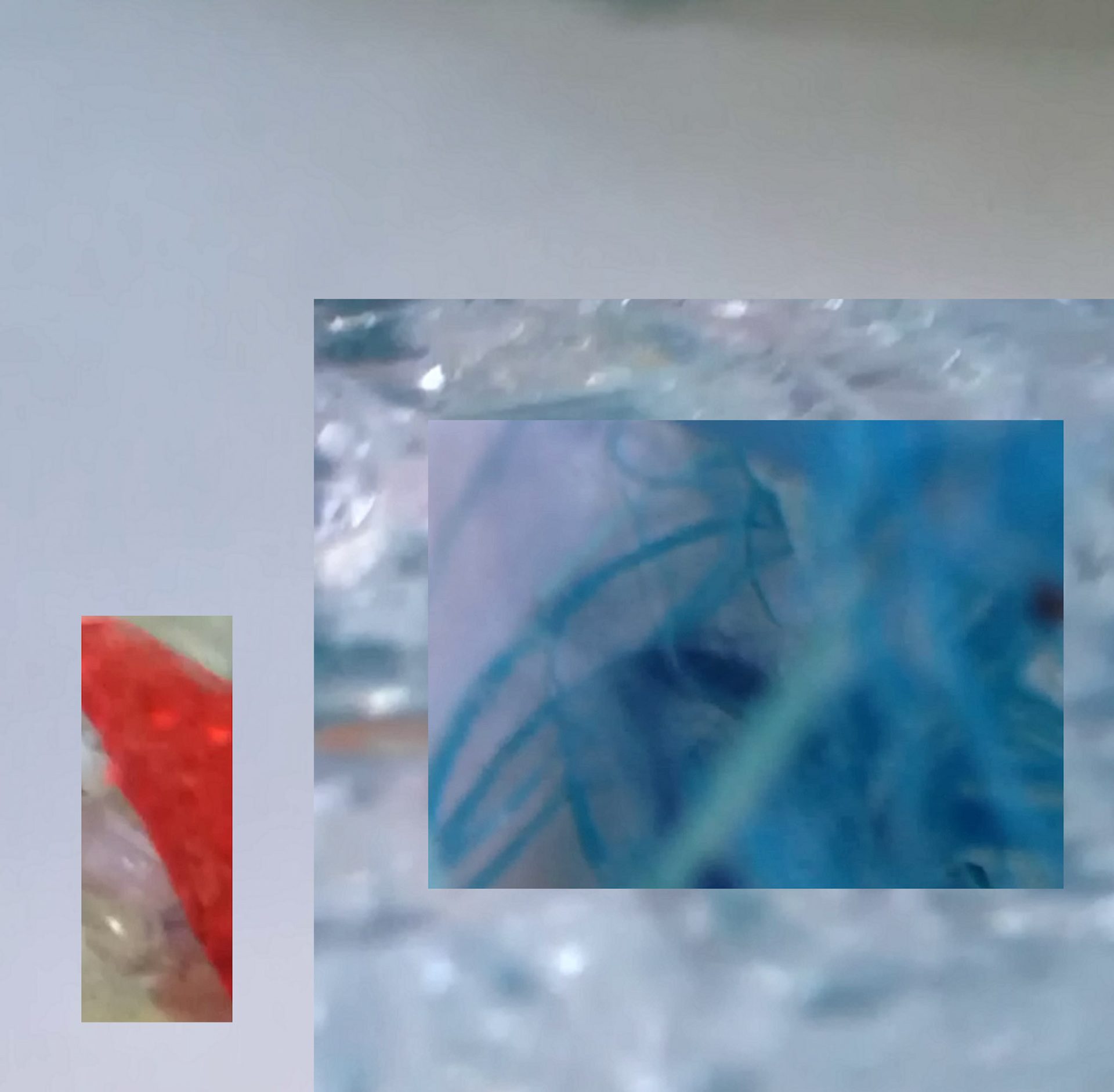 Digital collage from photos of trash found in Fredrikstad, Norway, 2018.