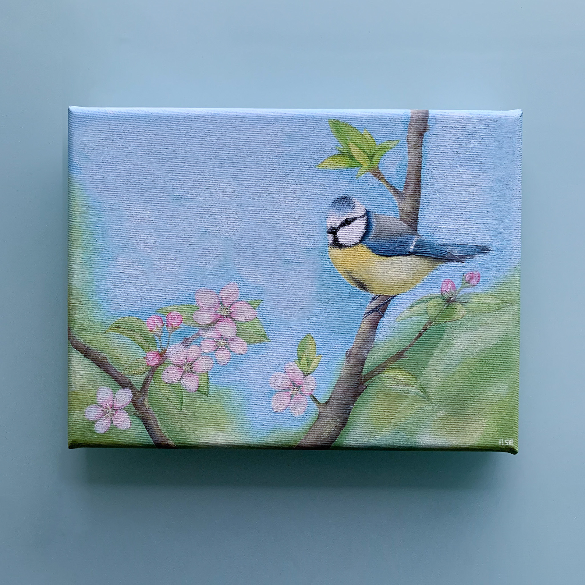 Olieverfschilderij pimpelmeesje