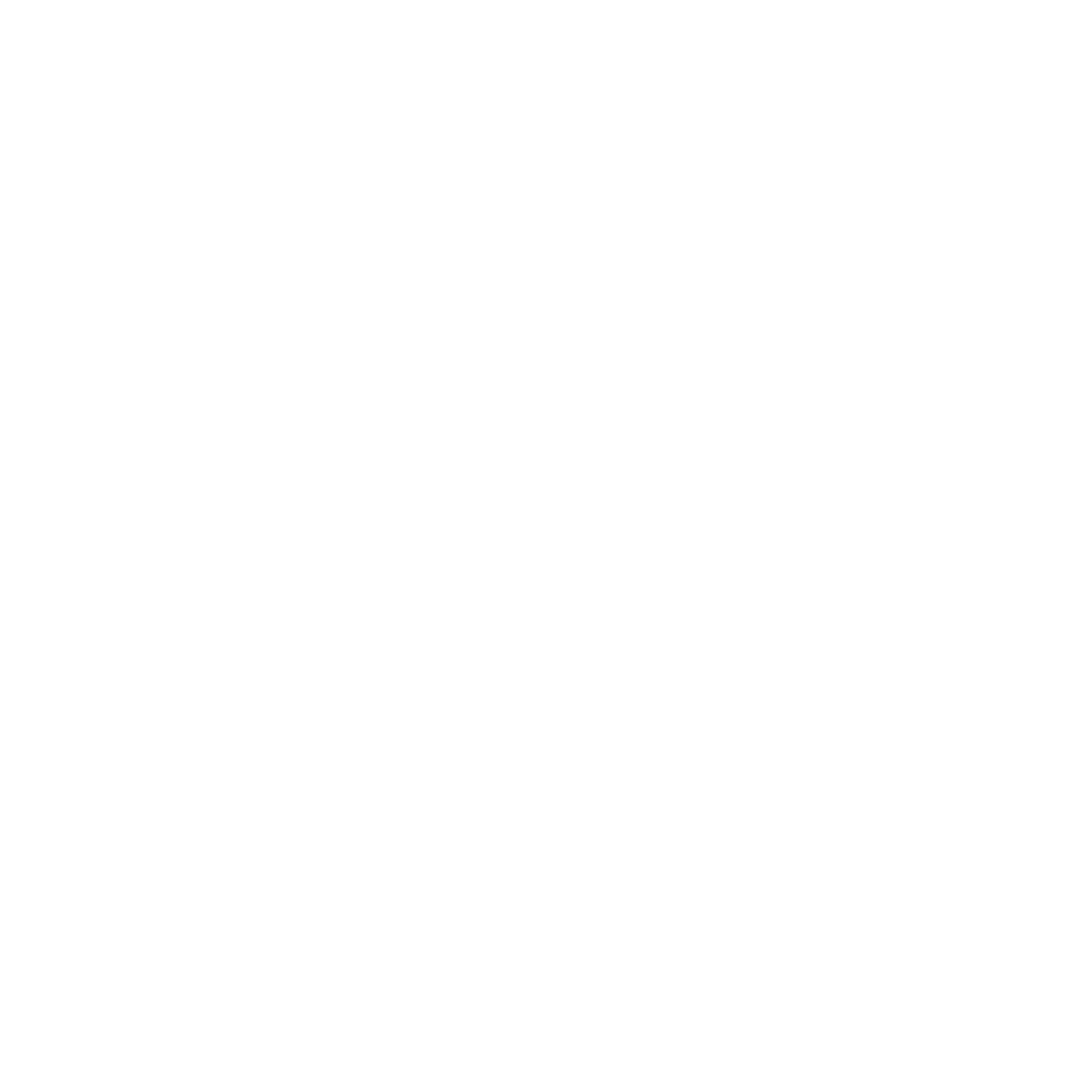 MARTIN ŠKOLOUD