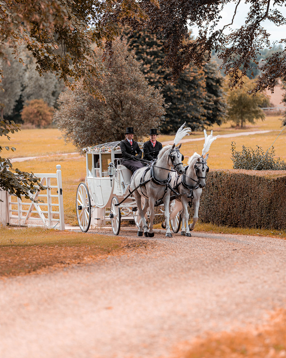 Cranford Hall Wedding Photography. - Horse & Carriage