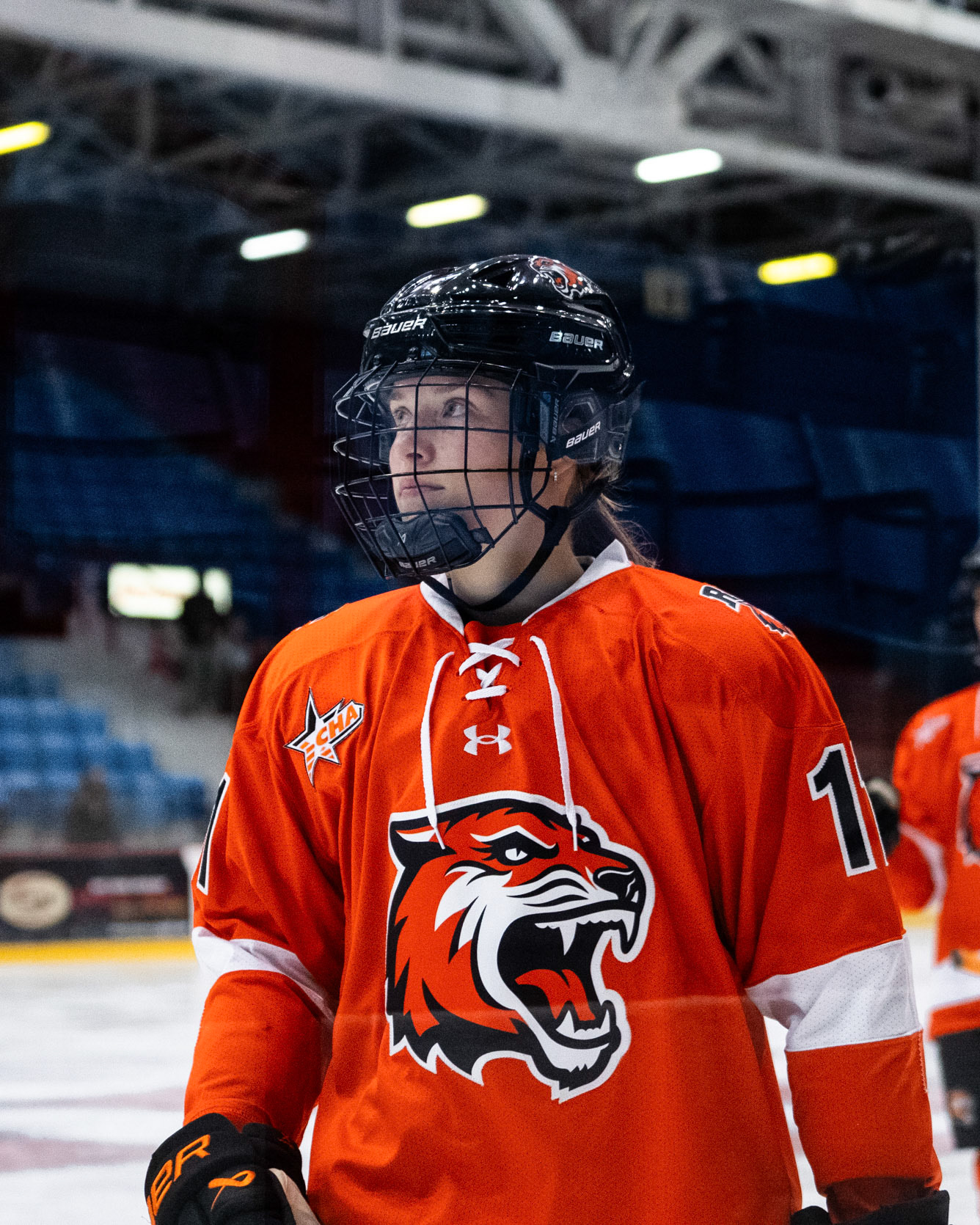 RIT Women's Hockey at RPI