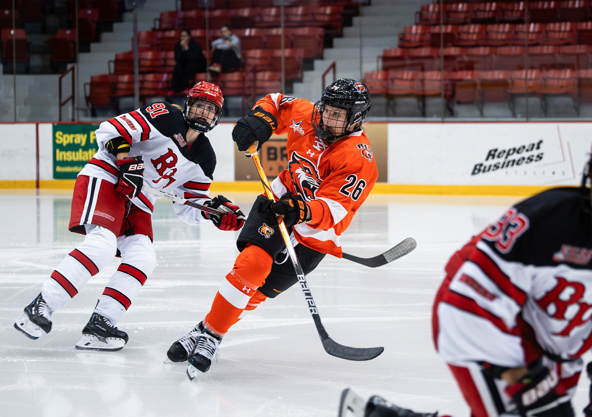 RIT Women's Hockey at RPI