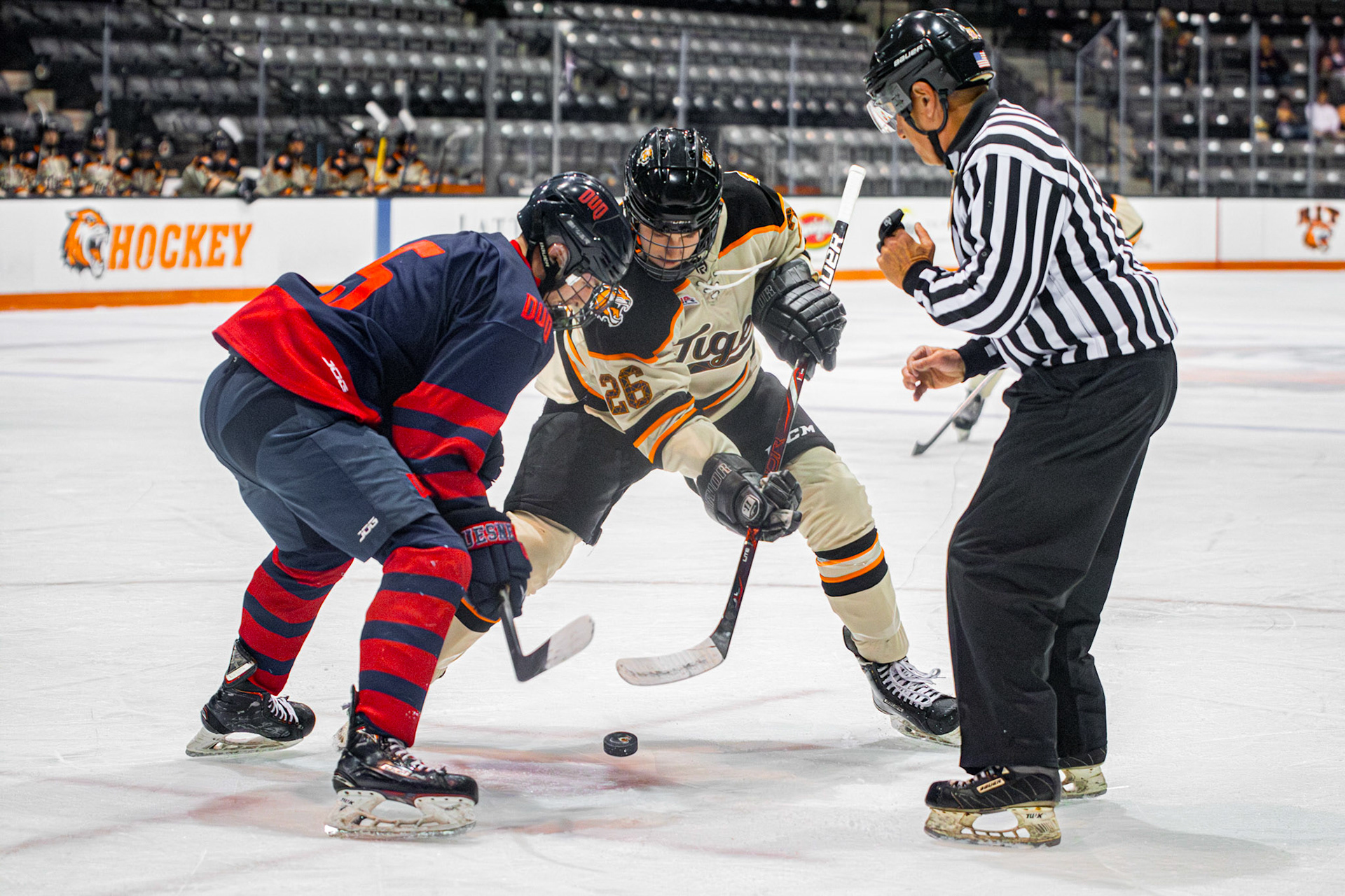 RIT Men's Club Hockey