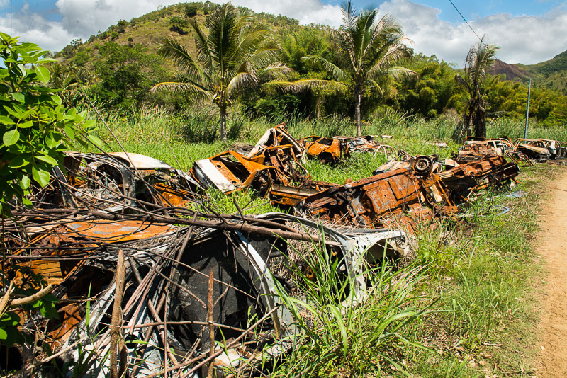 car graveyard in a tropical landscape with palm trees
