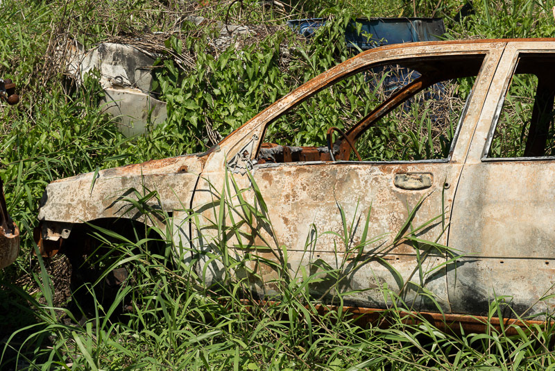 Rusting, stripped-down car overgrown with tall grass