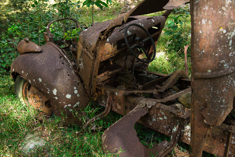 rusty car old-timer in a lush nature