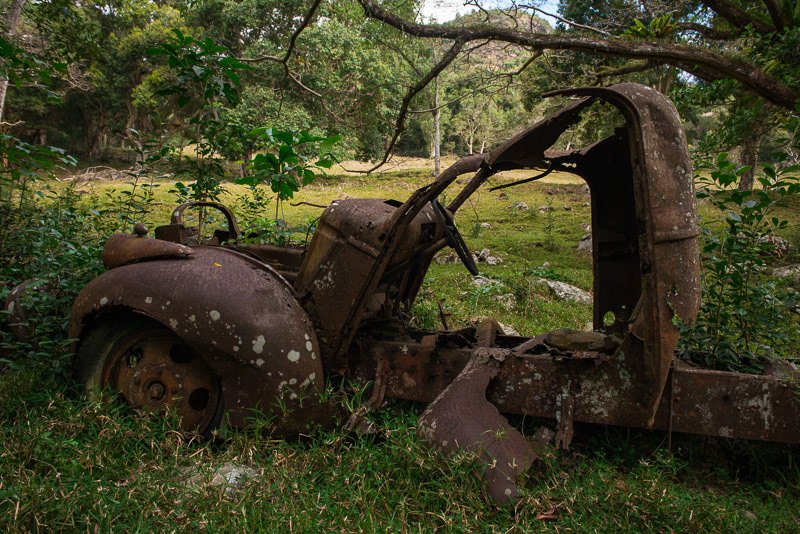 rusty car old-timer in a lush nature