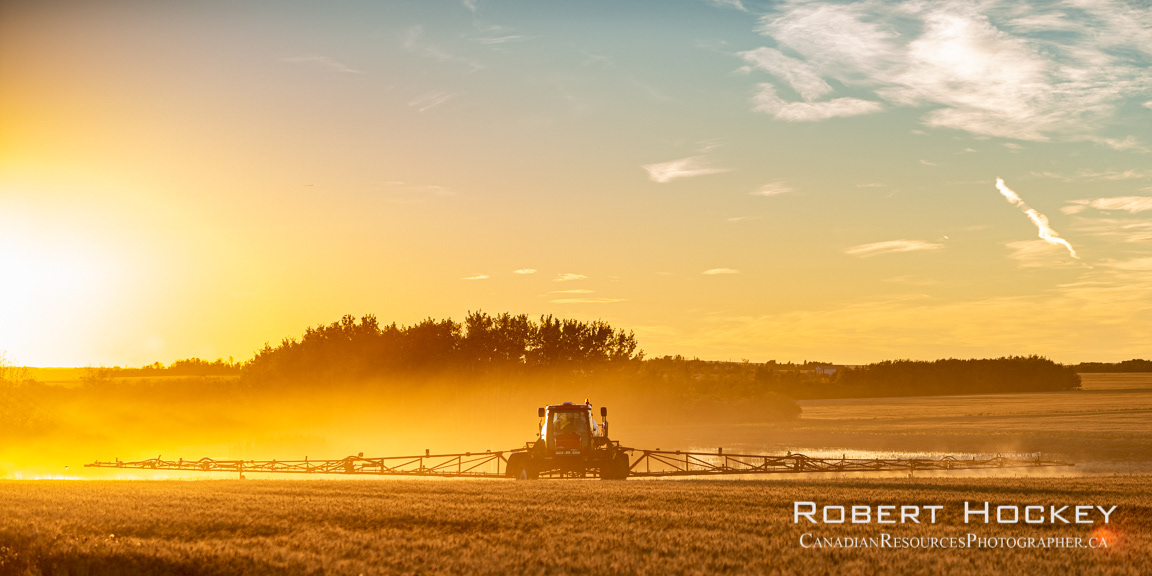 Spraying at Sunset - Picture 153