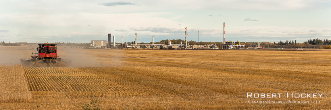 Combining by Pipestone Gas Plant 2 - Picture 163