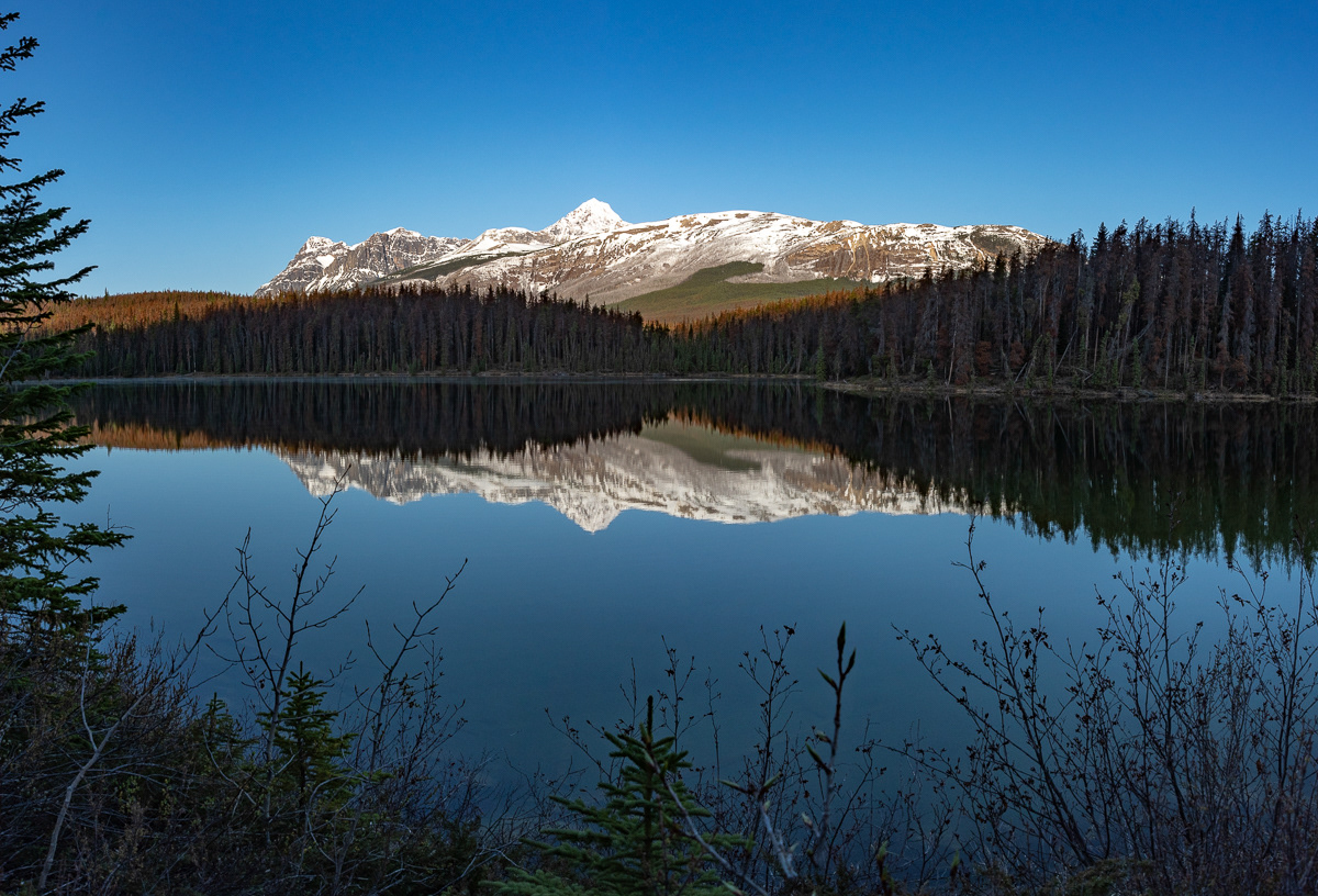Leach Lake, Jasper, AB