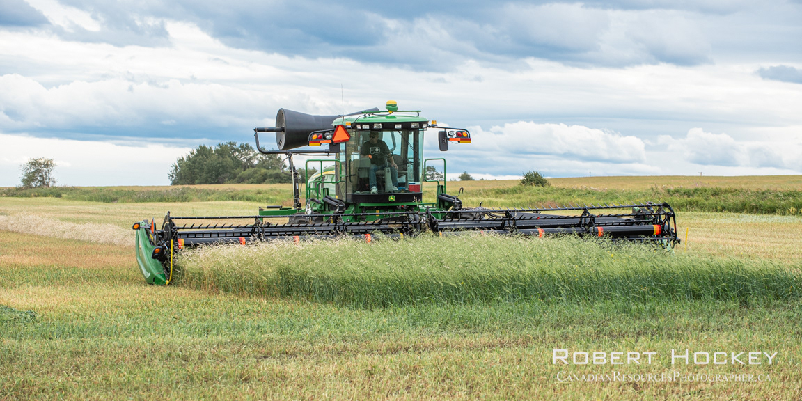 Swathing Silage